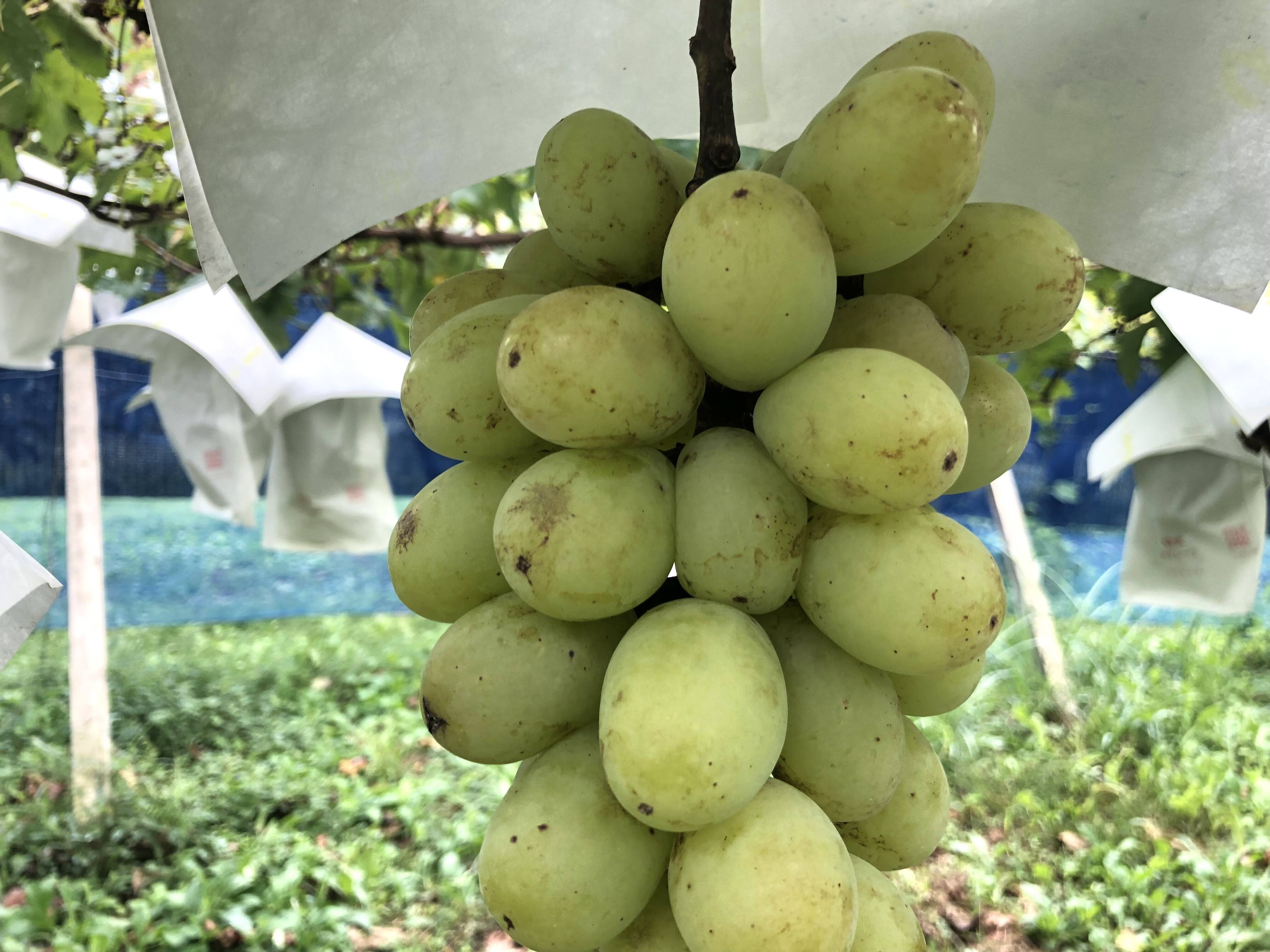 002354b13acf32abe4f5f15c15be3d