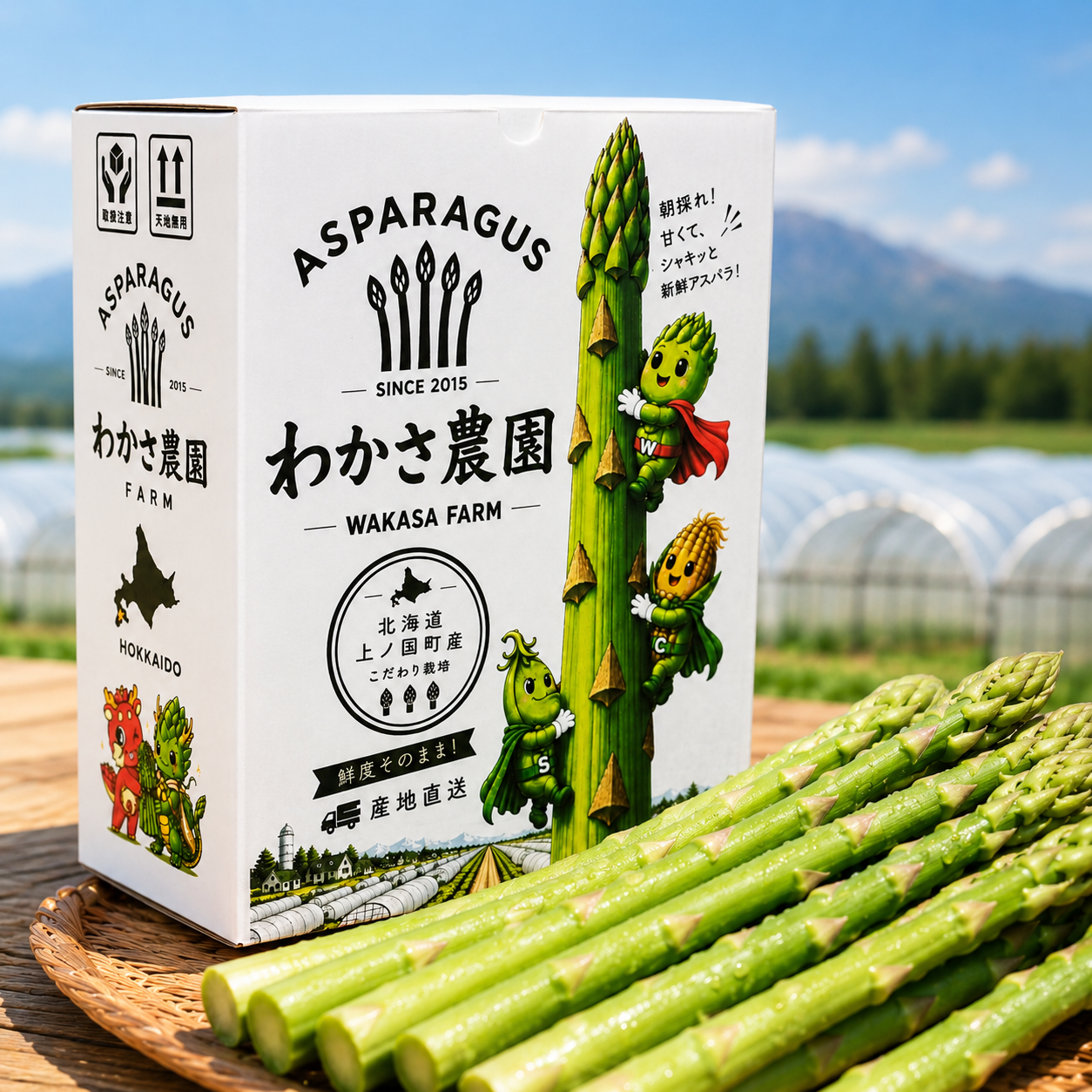 新鮮アスパラ　アスパラガス　訳あり B品 北海道産1kg 訳あり規格外 M～2Lサイズ アスパラ！：北海道産の