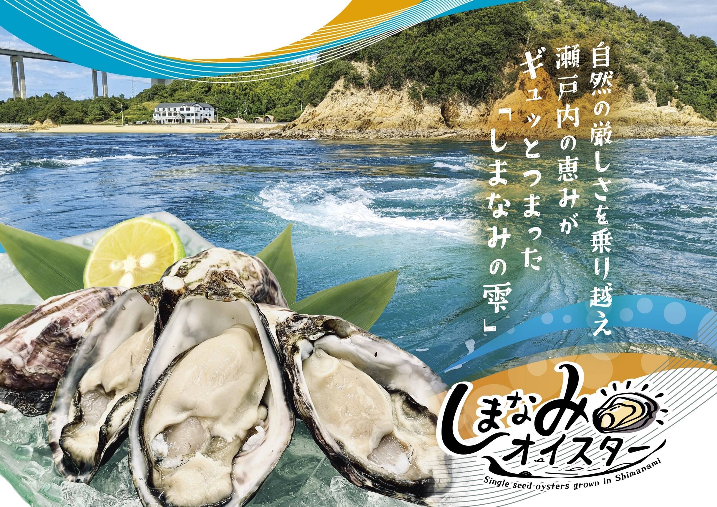 瀬戸内で生まれた生食用真牡蠣！ しまなみオイスター(50個入)：愛媛県