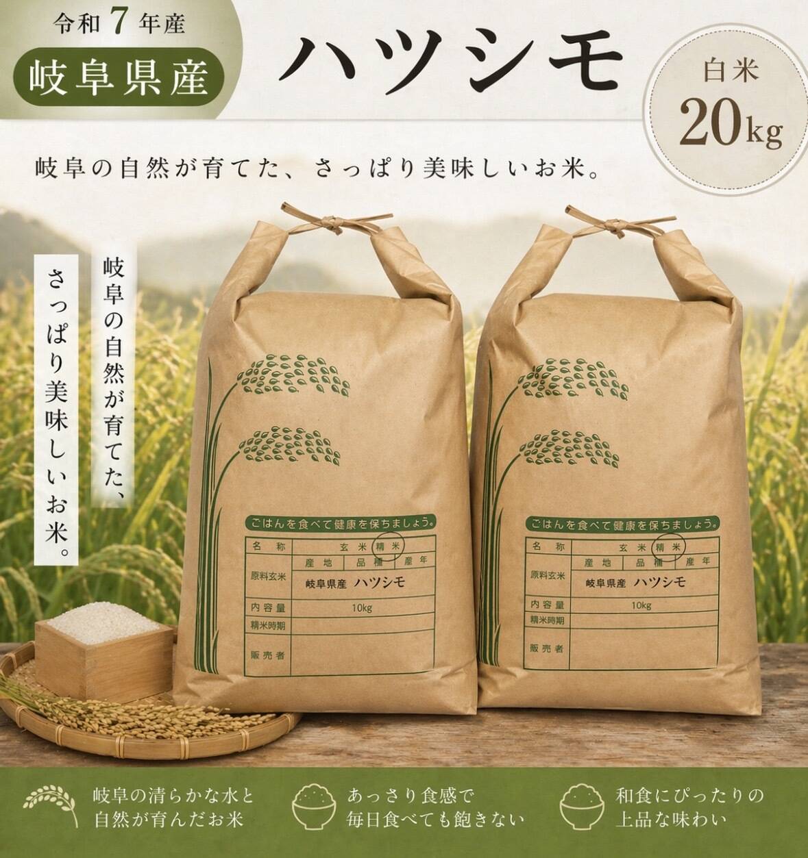 岐阜のお米！ ハツシモ 1等米 白米20Kg(令和7年産) ヘルシー米：岐阜県