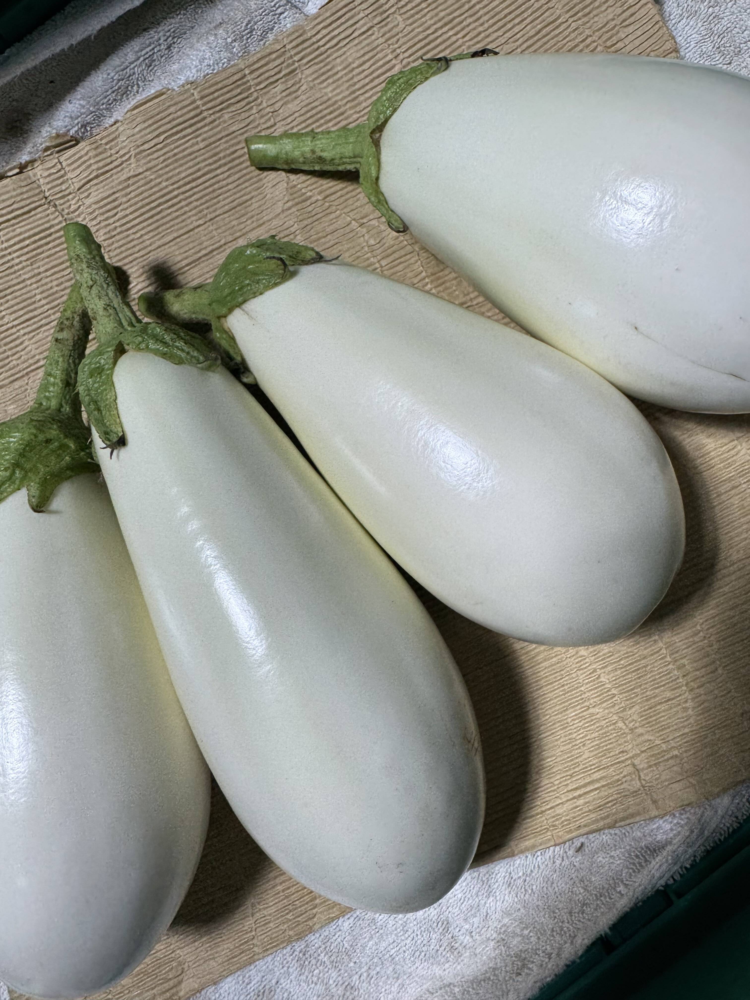 なす！ 楽天市場】【ふるさと納税】 【 期間限定 】 選べる内容量 なす 約 3kg