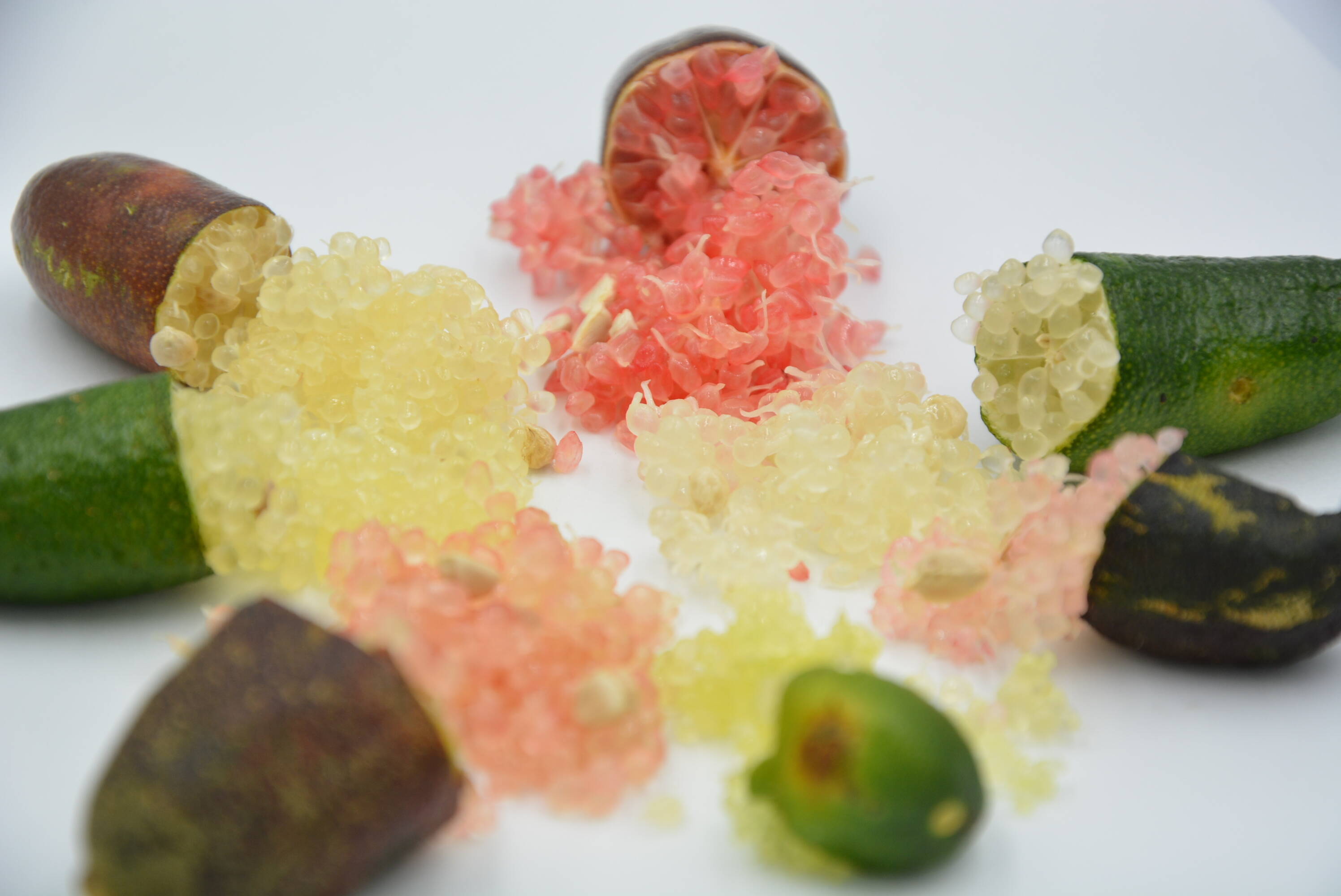 沖縄産 Inoやんばるライム（100g／約6～11本）バラエティパック：沖縄