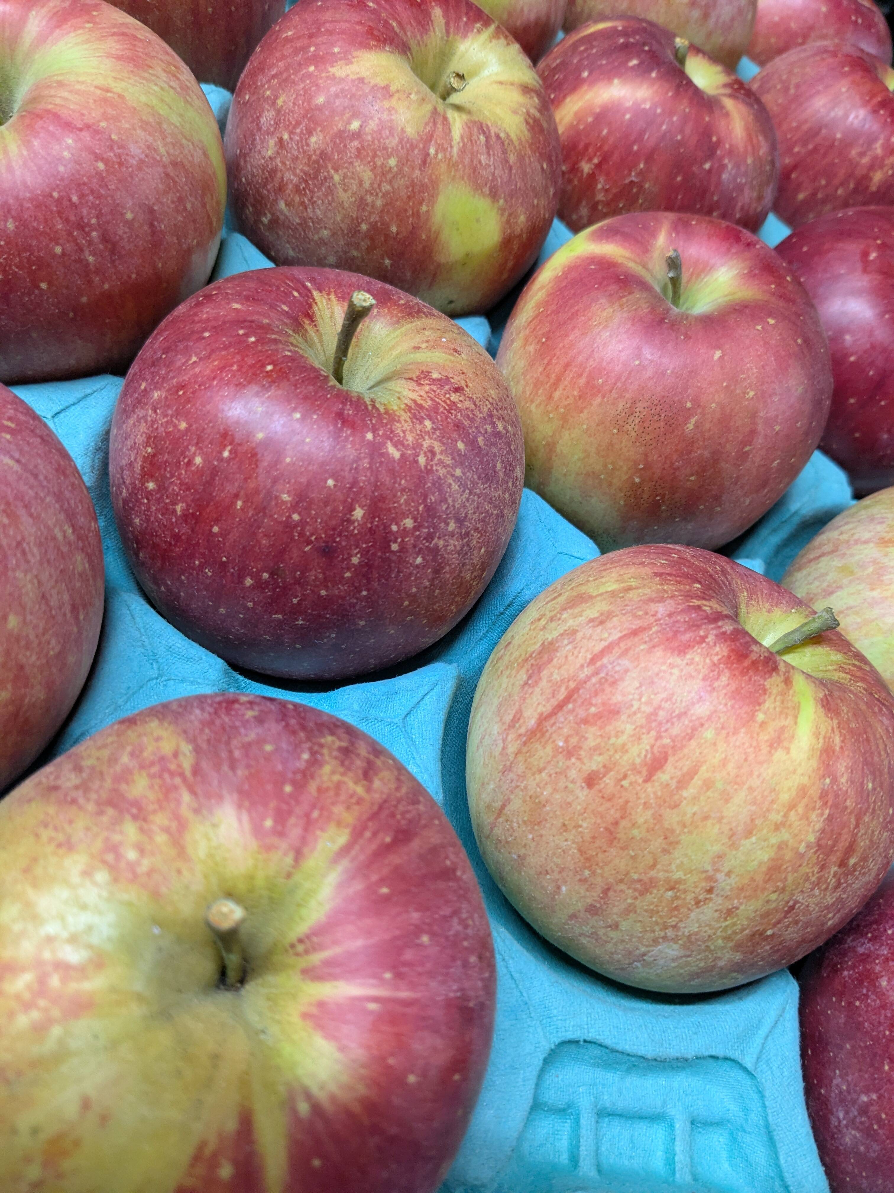 信州りんご🍎小玉4キロパック詰め：長野県産のふじ｜食べチョク｜産地