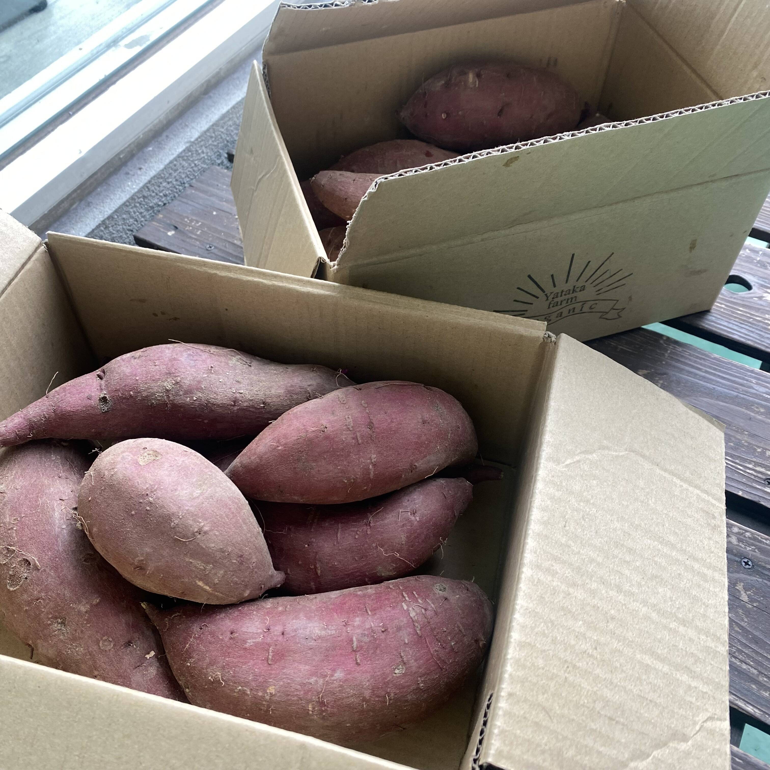 ＼半額SALE／ 自然農法☆熟成☆栄養価の高いサツマイモ紅おとめ 2kg 土付き 野菜