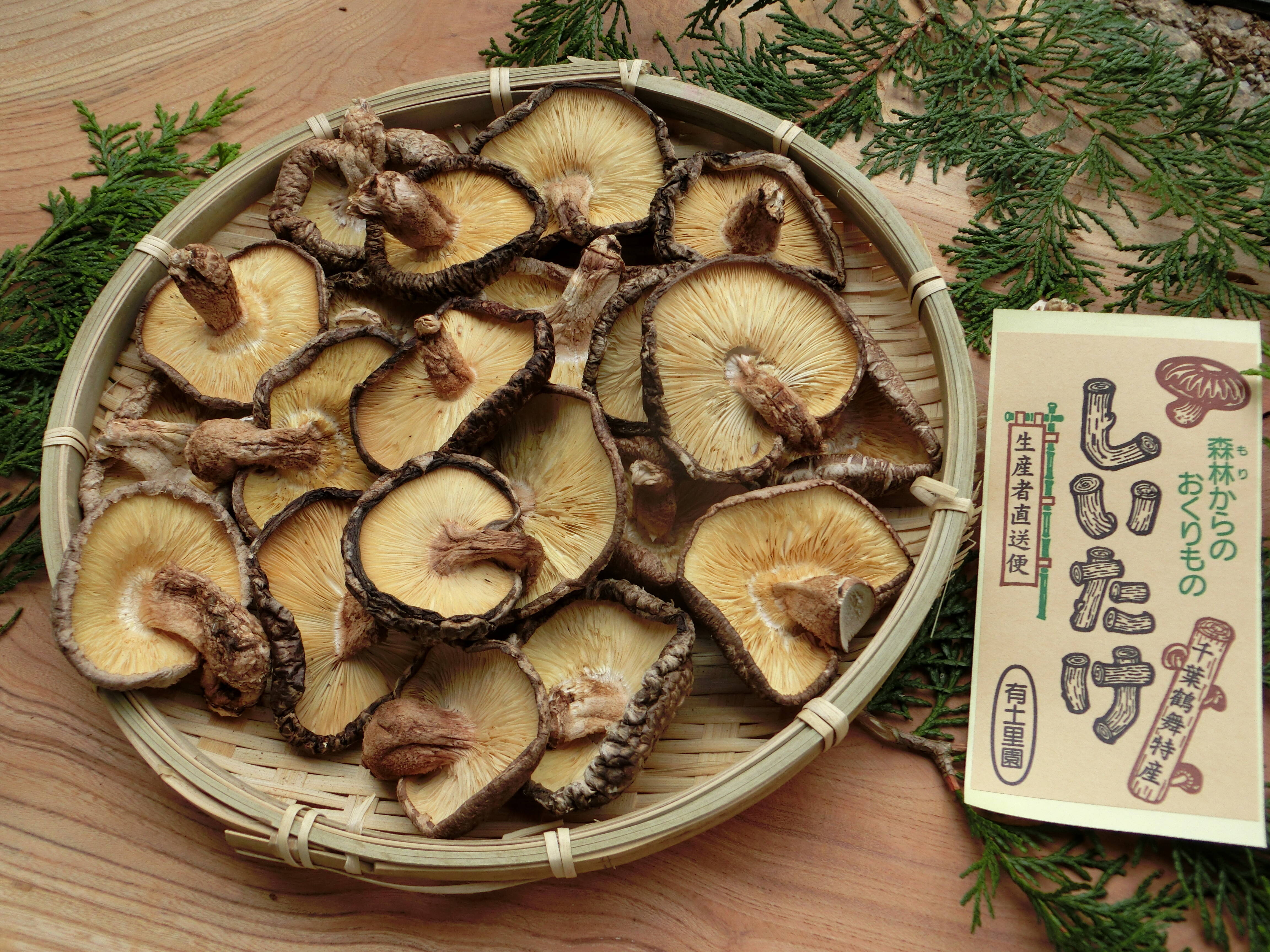 水戻りが早くすぐ使いたいという方 香信 1g 千葉県産 食べチョク 農家 漁師の産直ネット通販 旬の食材を生産者直送