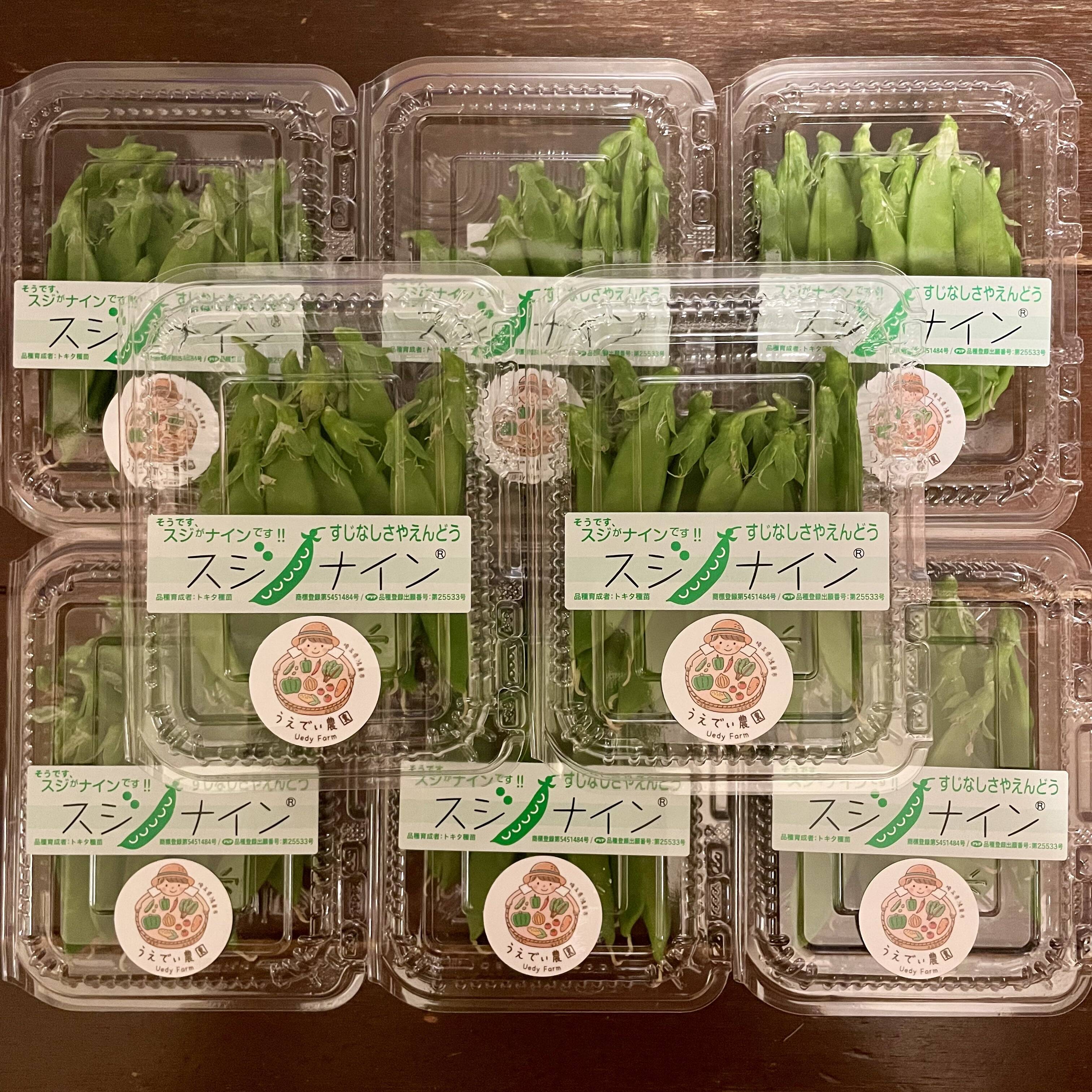 日本初！すじなしさやえんどう35g×8p 農薬・化学肥料不使用：埼玉県産