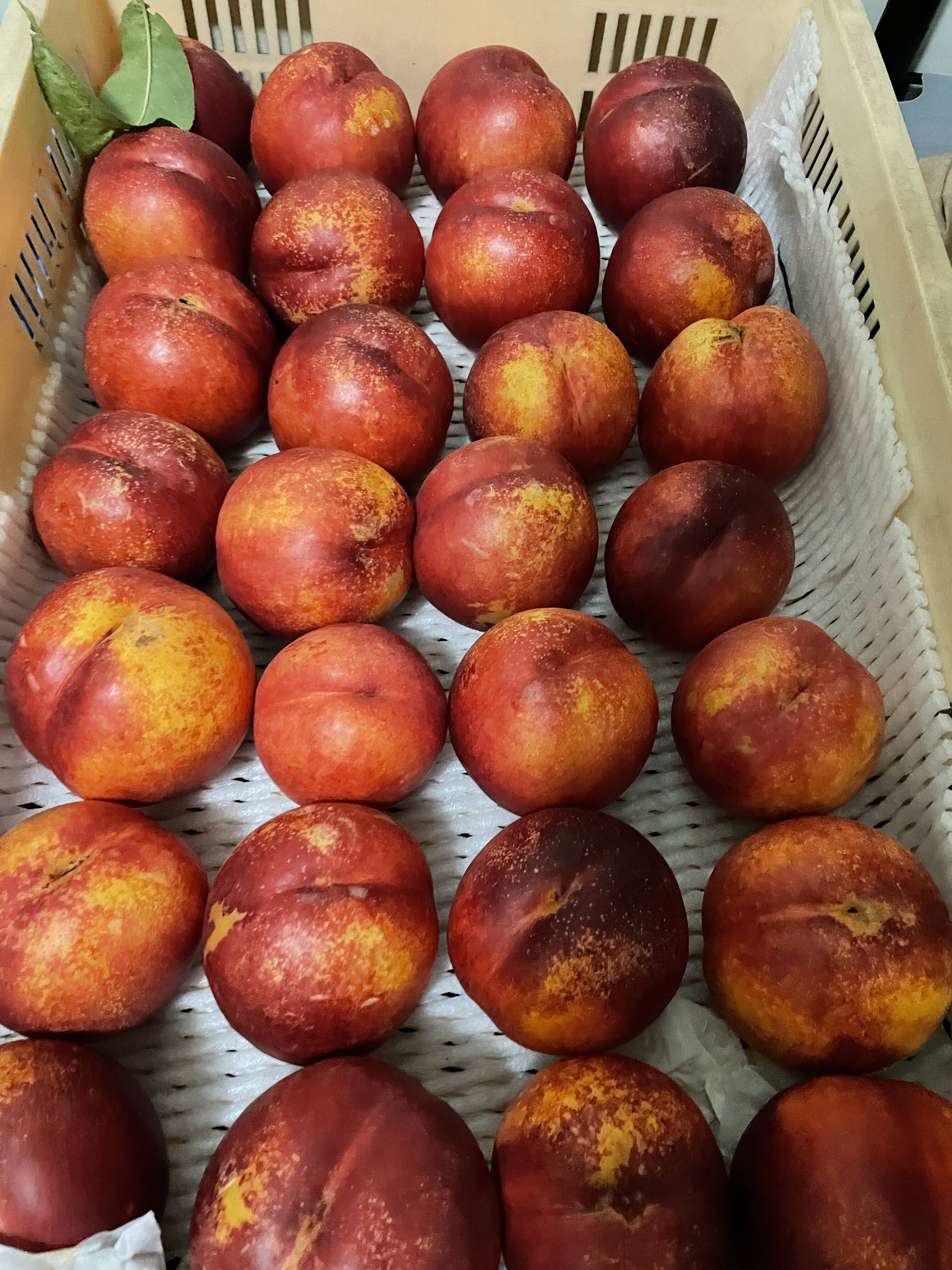 桃 桃好きには食べて欲しい！熟成【秀峰】酸味の中に甘味♪1.5kg：長野県