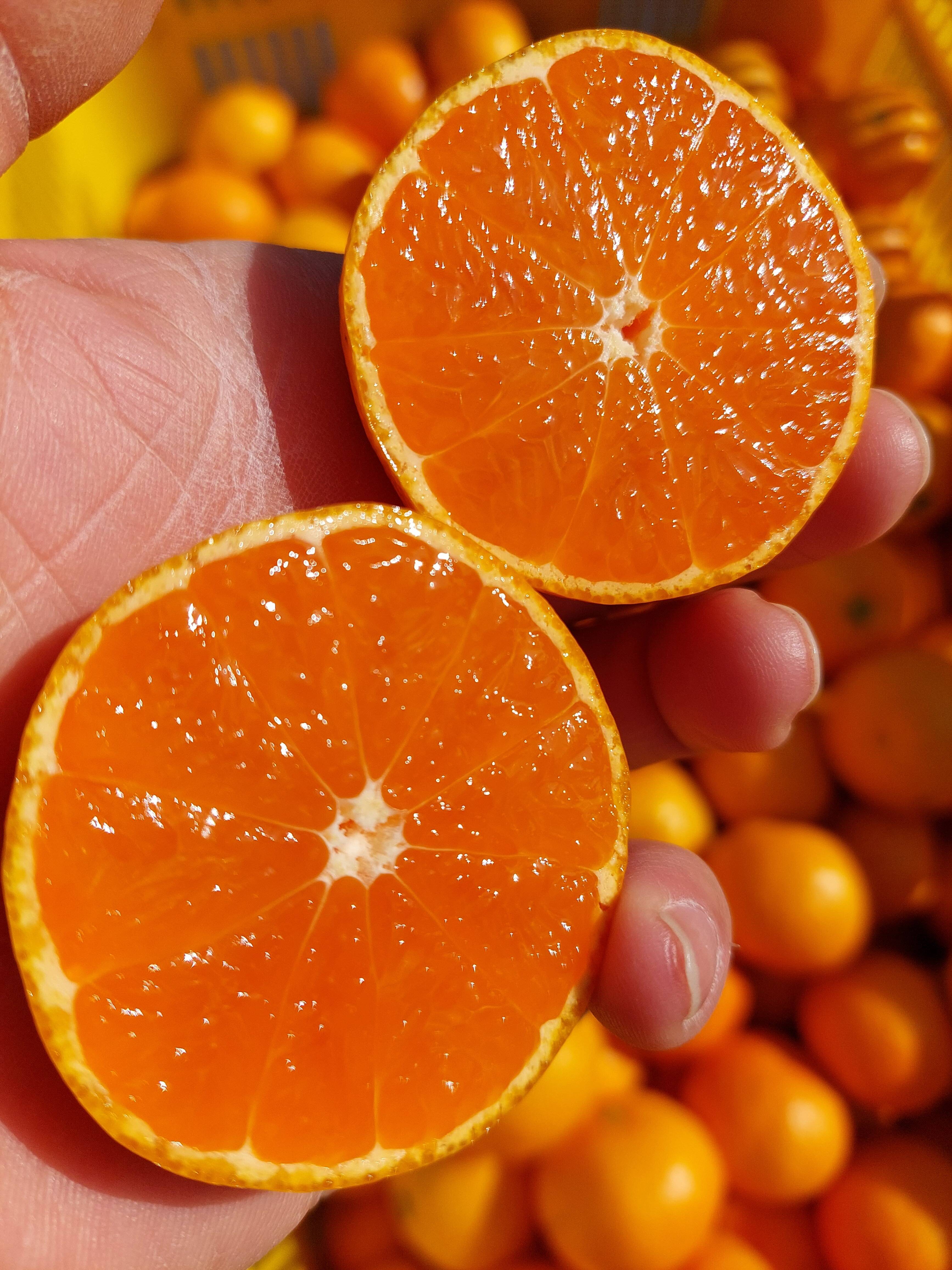 014adc399847ca8d4a26e366b72097