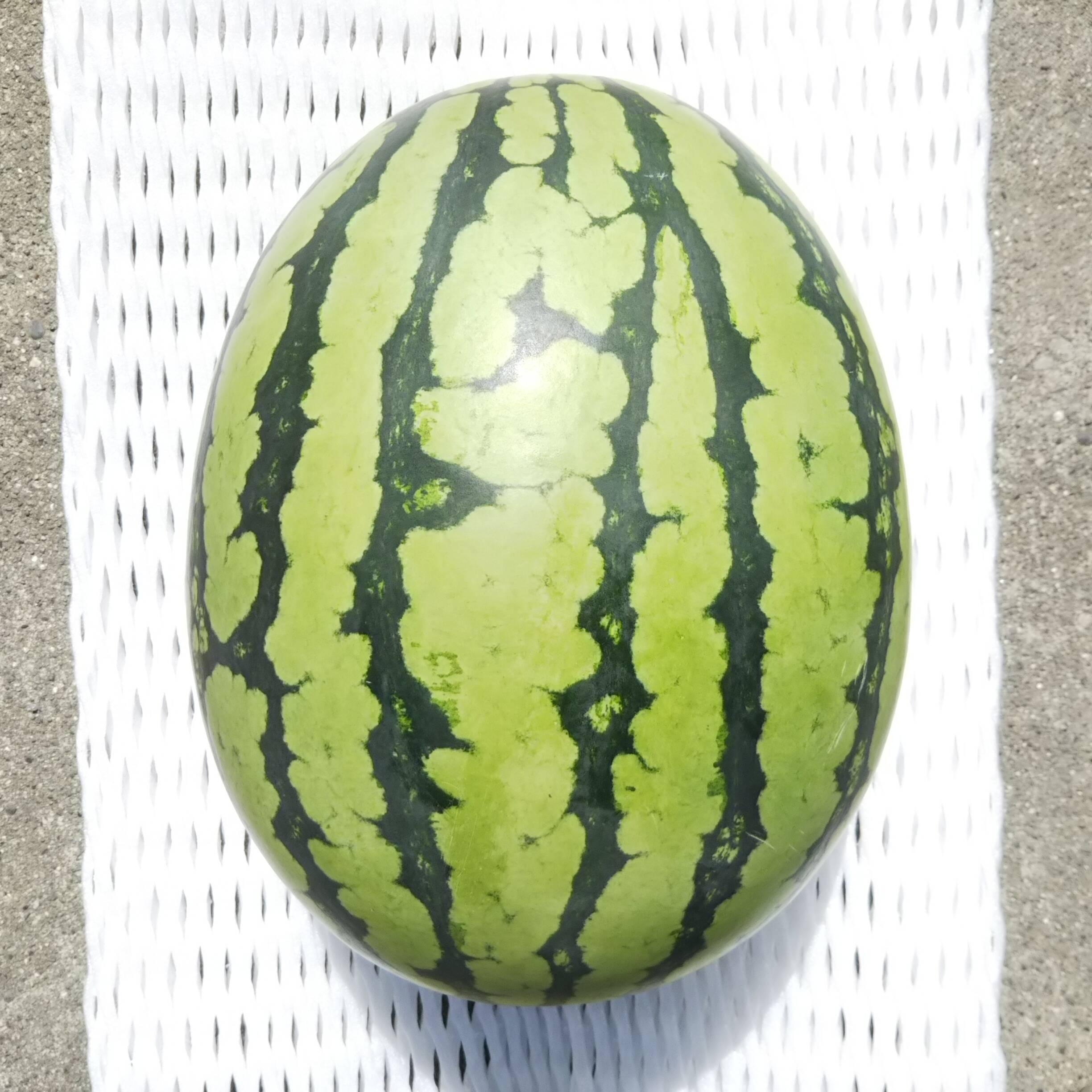 014c6d763ea2b74b37981dc46d4caf