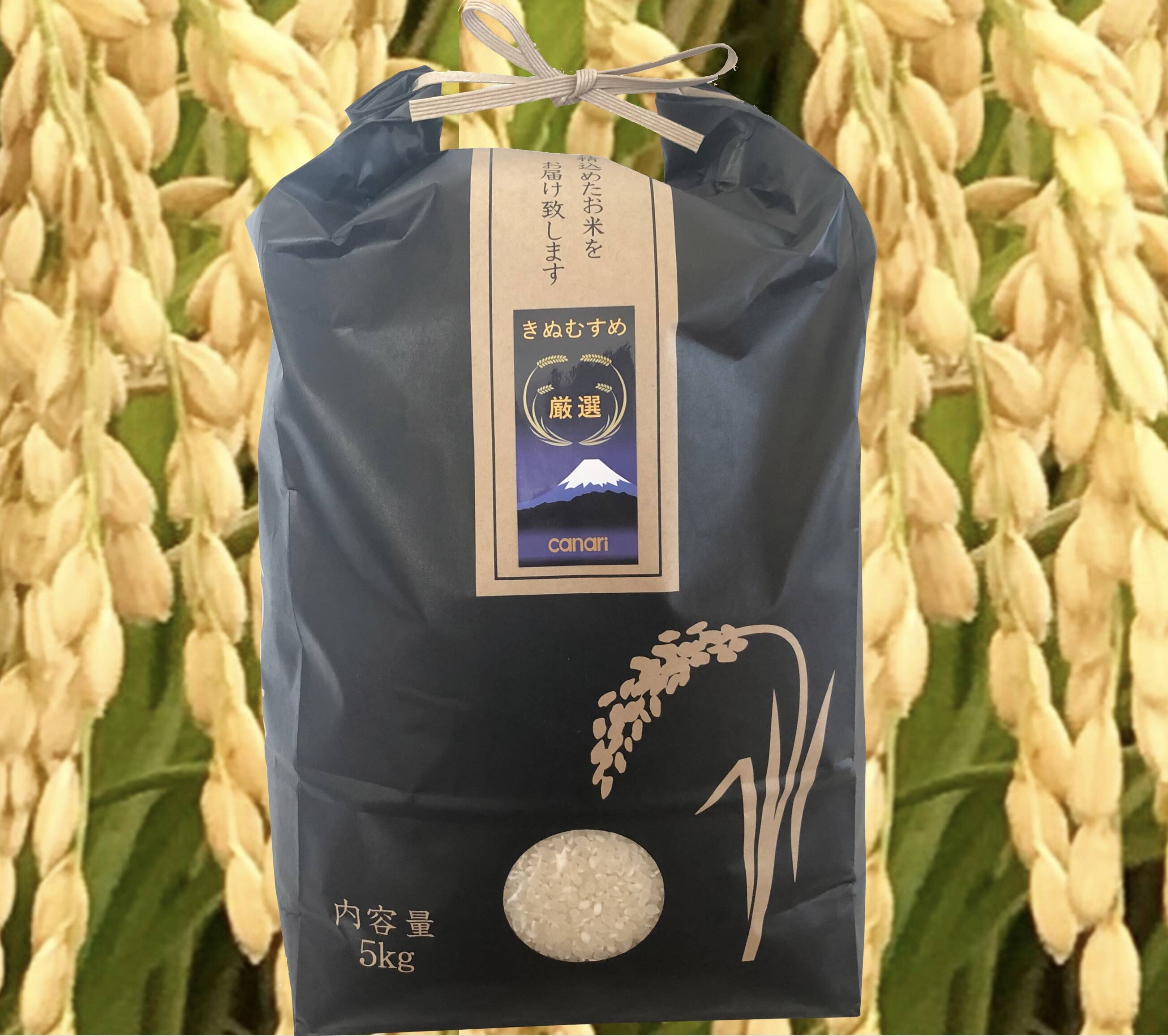 Canariの米 きぬむすめ５kg 精米 令和２年産 静岡県産 食べチョク 農家 漁師の産直ネット通販 旬の食材を生産者直送