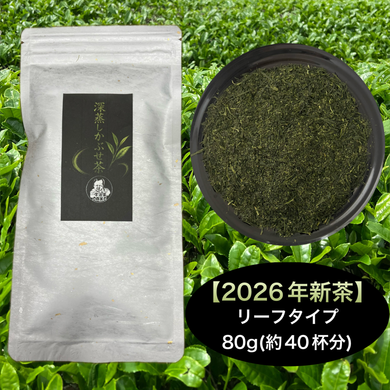 春摘み新茶＊【苦くない緑茶】伝統とこだわりの味！まろやかな甘味と