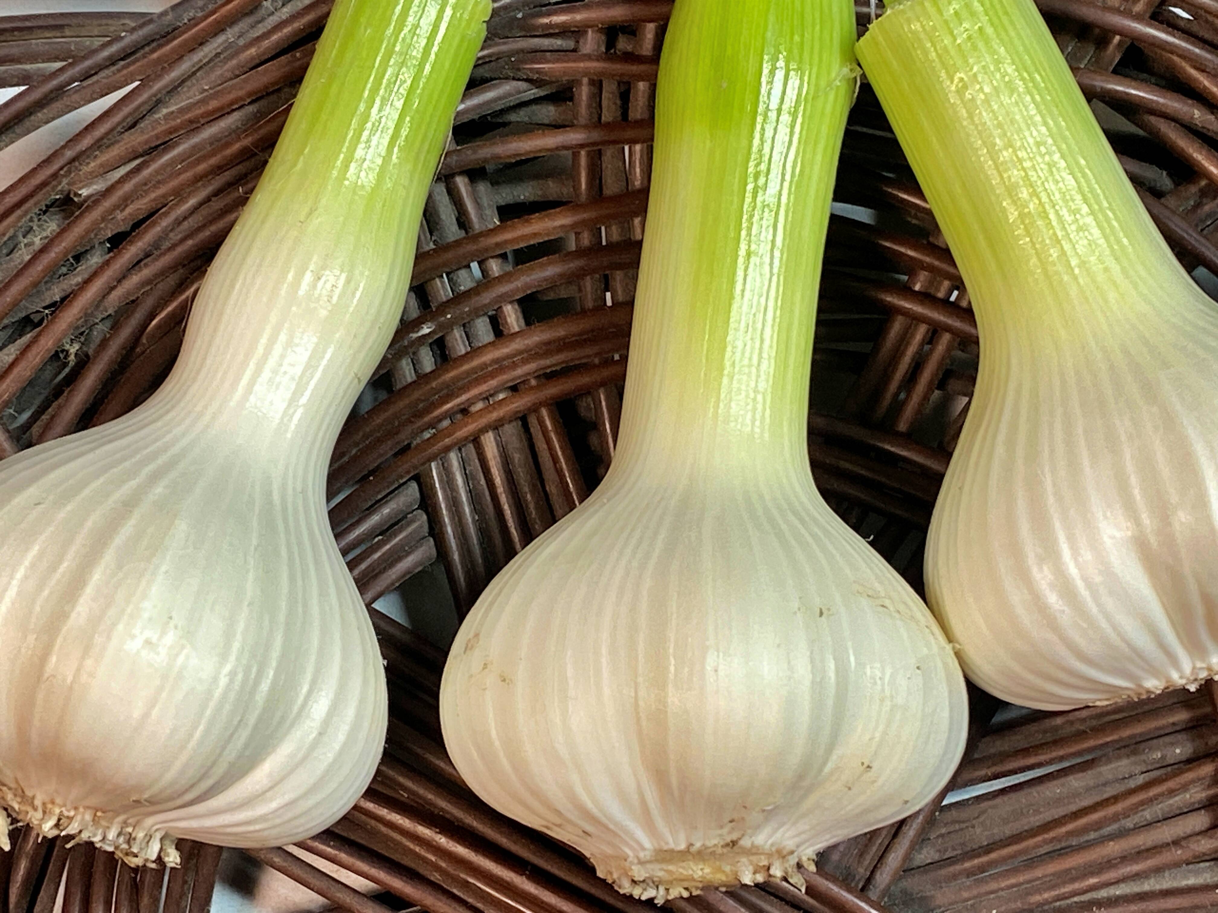 数量限定⭐️今だけ増量】1年に1回🎉この時期だけの生にんにく🧄500