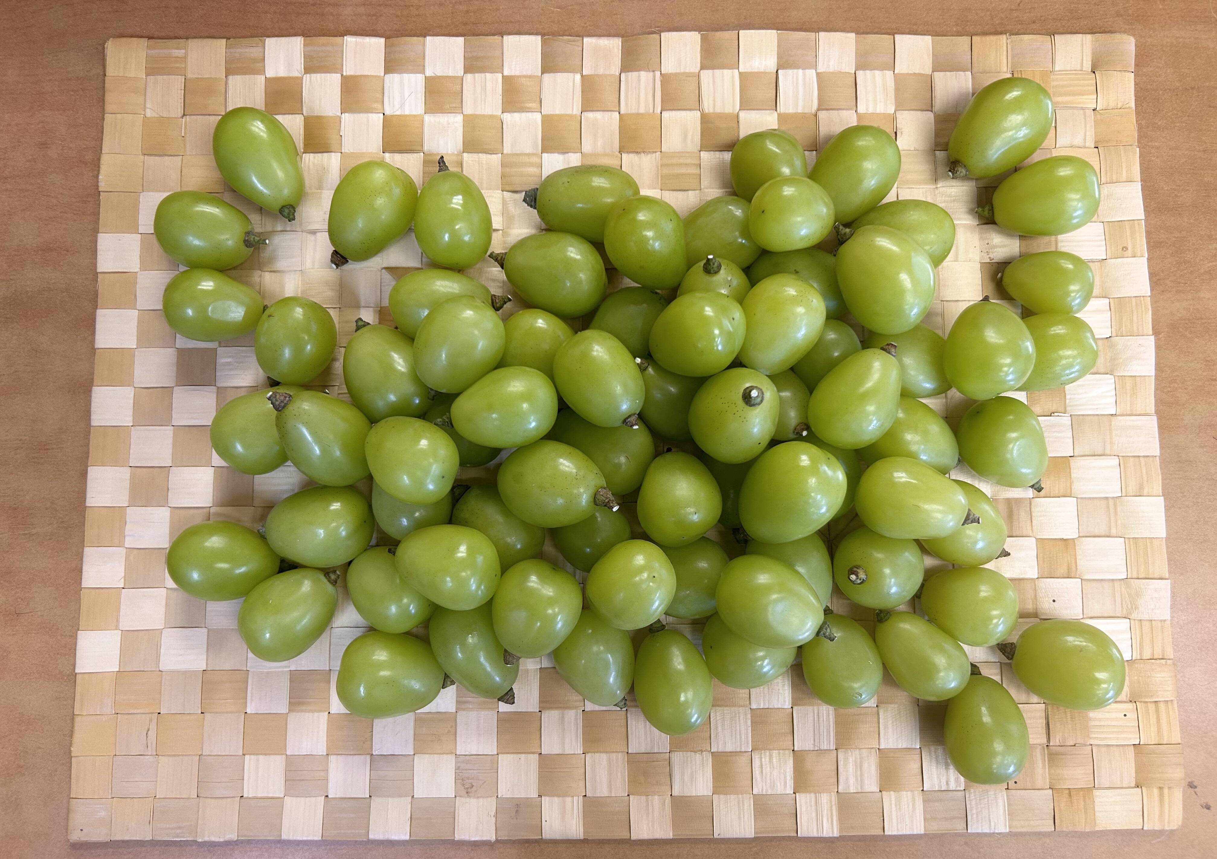 リピーター様限定岡山産シャインマスカット訳あり粒のみ1キロ 訳あり】ご家庭用・粒・シャインマスカット【数量限定】 約1.2kg