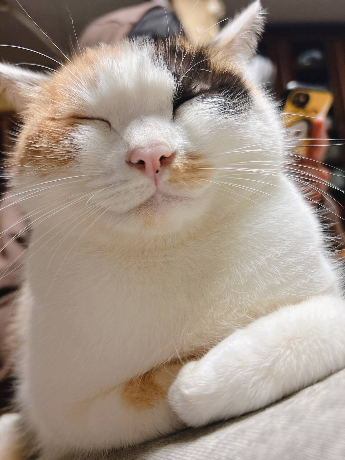 まぁちゃんふぁーむへのレビュー・商品：佐賀県｜食べチョク｜産地直送