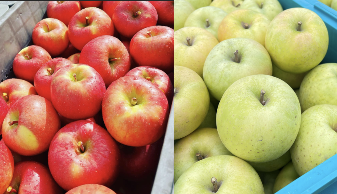 ミックス 🏆2025年りんごGP金賞受賞🎊葉取らず高徳&王林 家庭用2kg【5