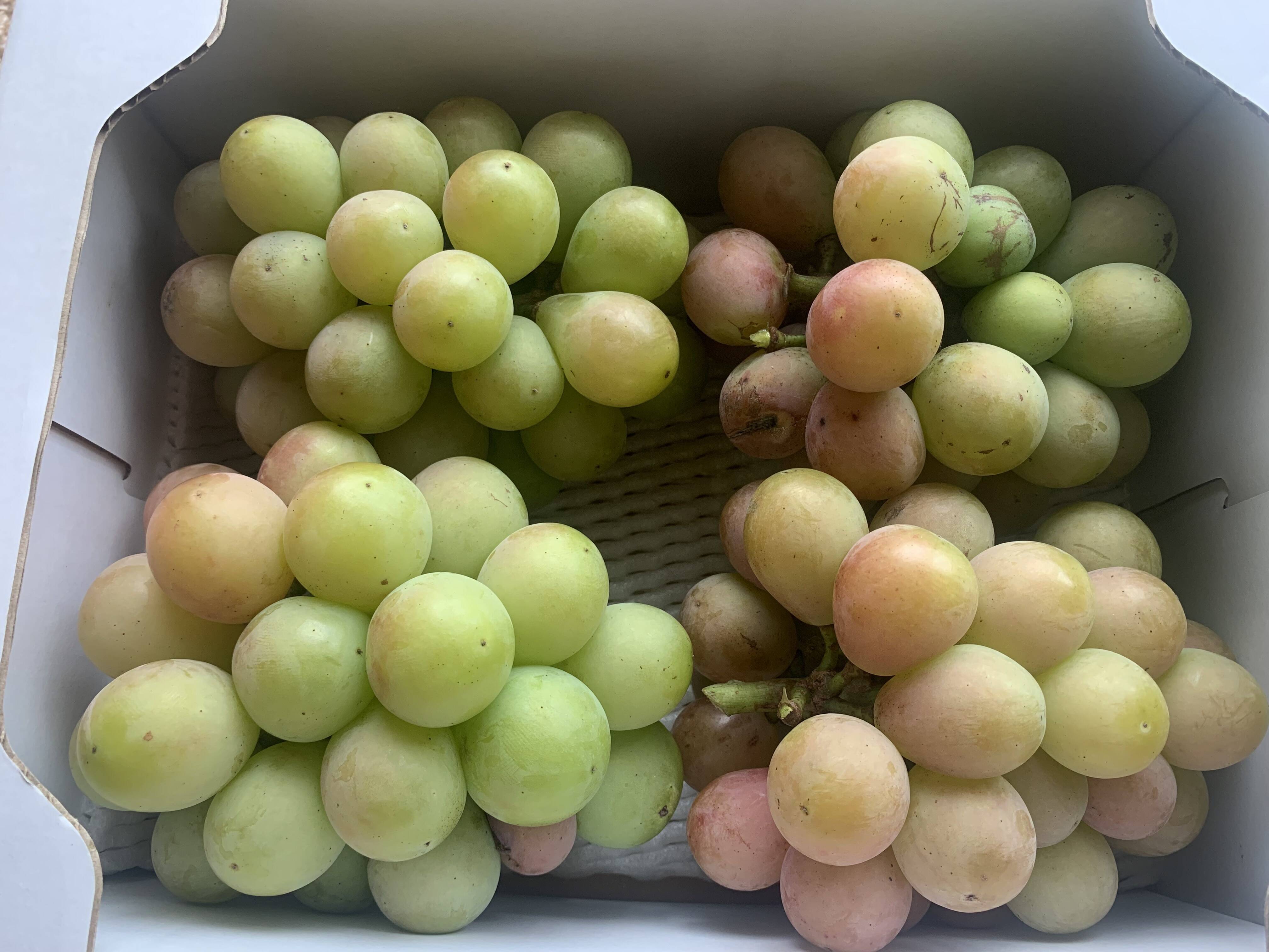 ク⑤【緑・色劣りクイーンニーナ】2kg化粧箱（4~6カット房）：岡山県産