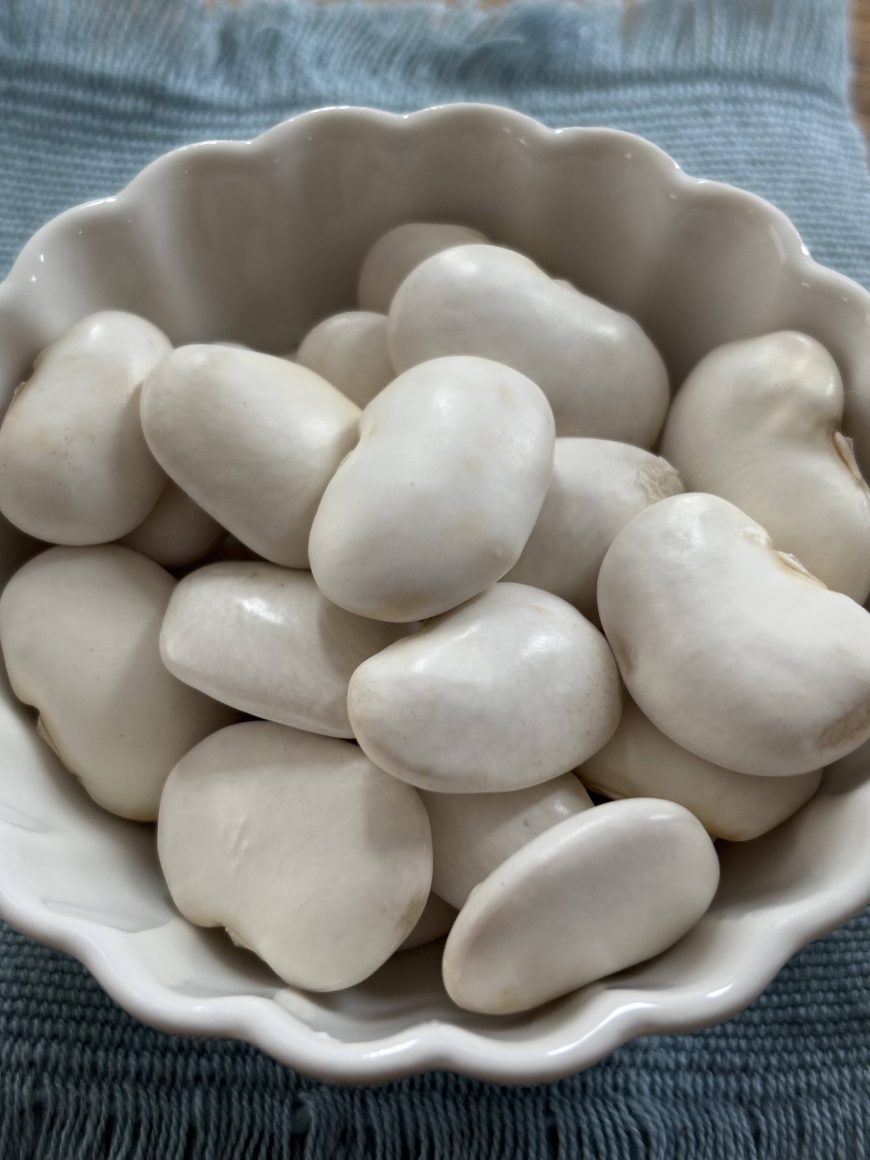 令和7年 北海道産 白花豆 500g（250g✖️2p）：北海道産の花豆｜食べ