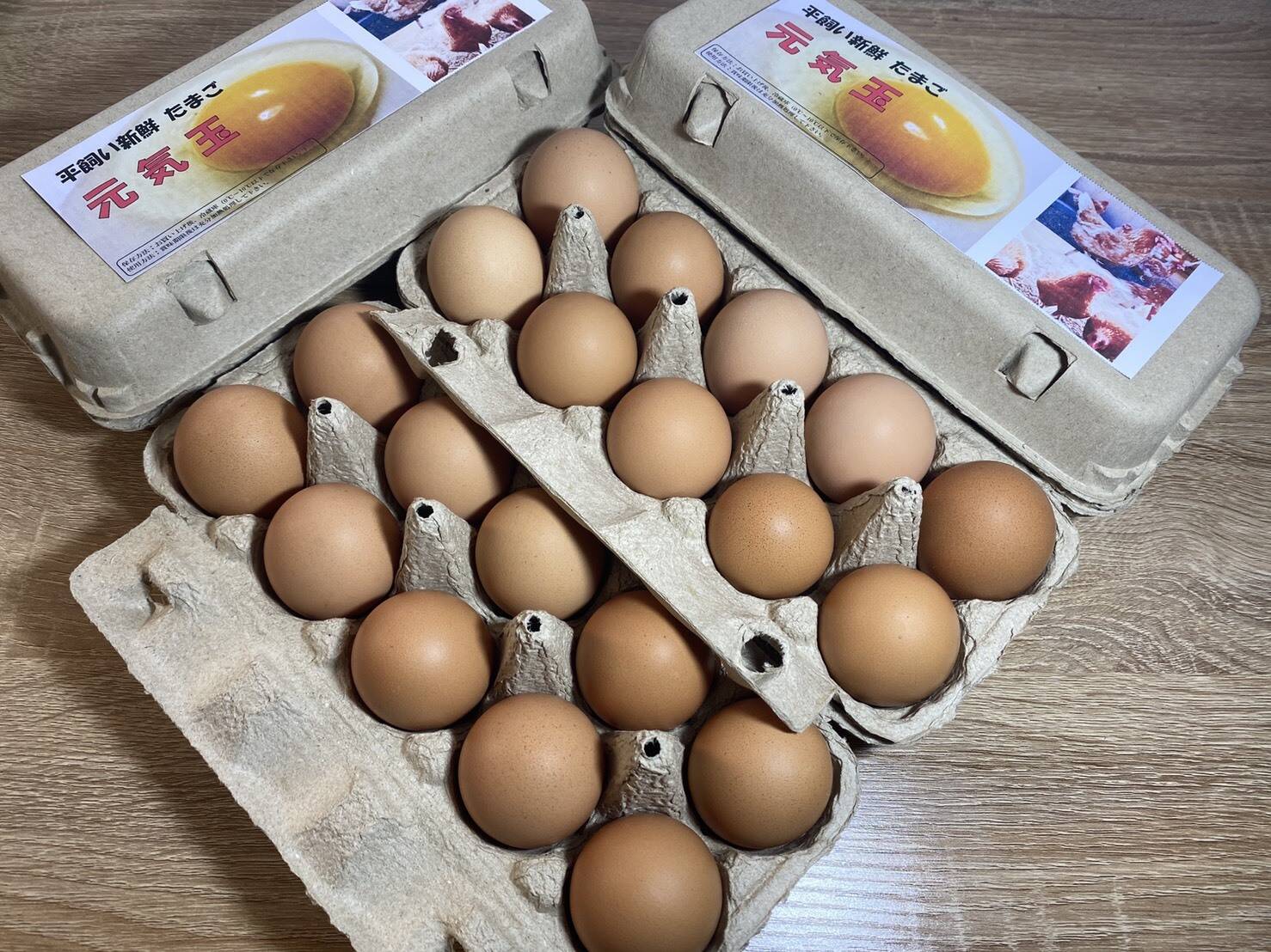 320個入り 宮下養鶏の朝採れ平飼い卵 | www.gamutgallerympls.com