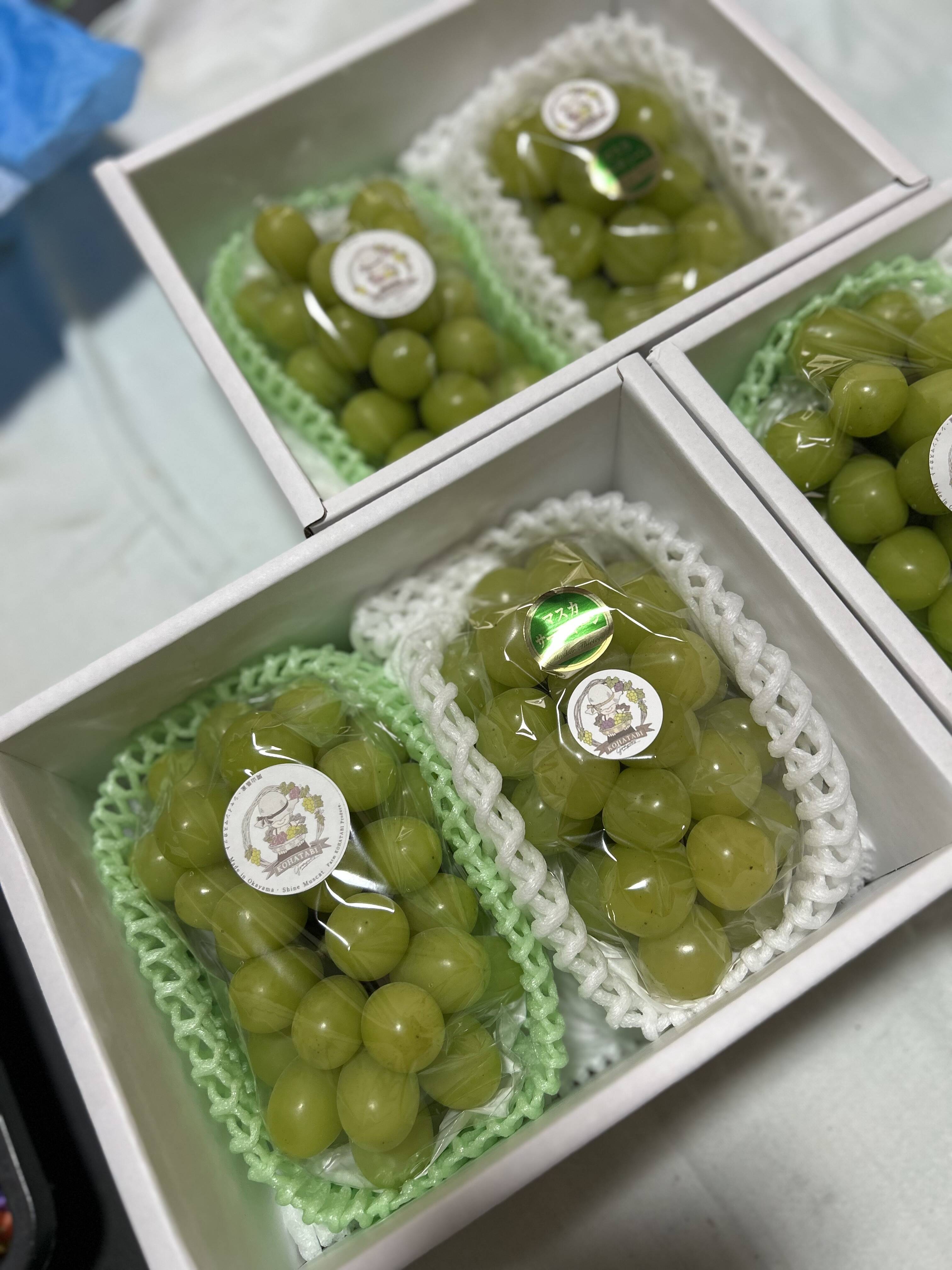 岡山シャインマスカ農薬不使用3kg超大粒粒売りプレミアム贅沢な甘さパリッと食感 岡山県産 マスカット食べ比べセット 王道のパリっと甘い