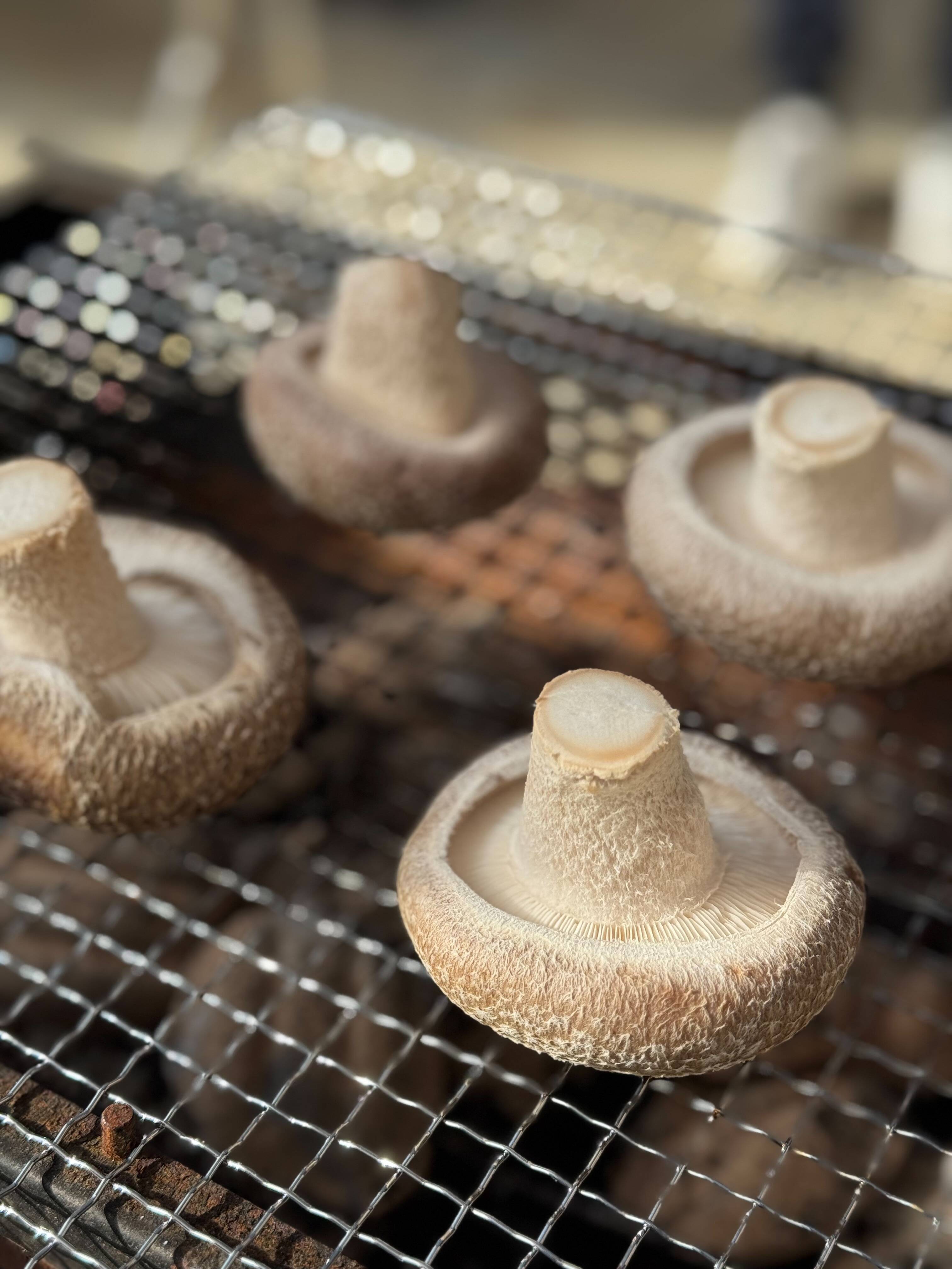 御前崎産肉厚椎茸〈贈答用1kg〉極上セット：静岡県産のシイタケ｜食べ