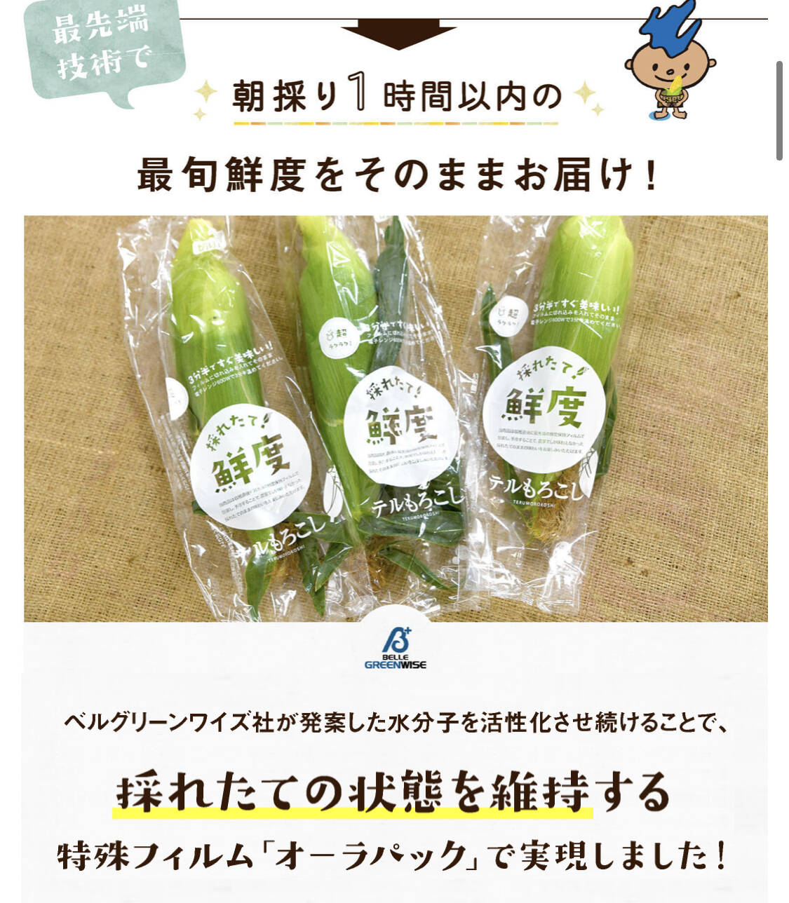 来年分予約販売先着 A品大箱 甘々娘 かんかんむすめ Or甘太郎 鮮度保持フィルムで全国発送でも採りたてのトウモロコシ を 静岡県産 食べチョク 農家 漁師の産直ネット通販 旬の食材を生産者直送