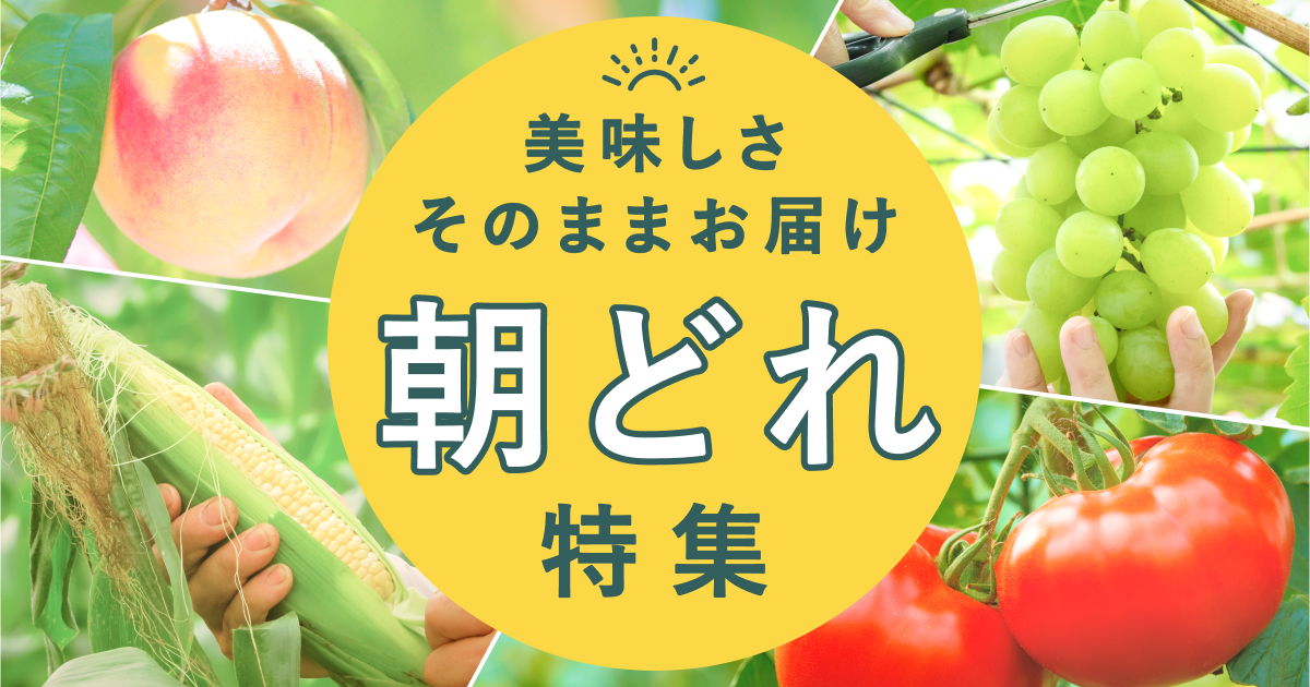 朝どれ特集