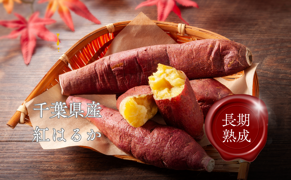 0361c9a1353ddc55a632eefa290d91