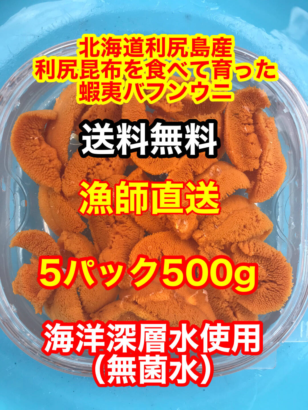 （実質送料無料）蝦夷バフンウニ（北海道利尻島産）5パック 500g入れ