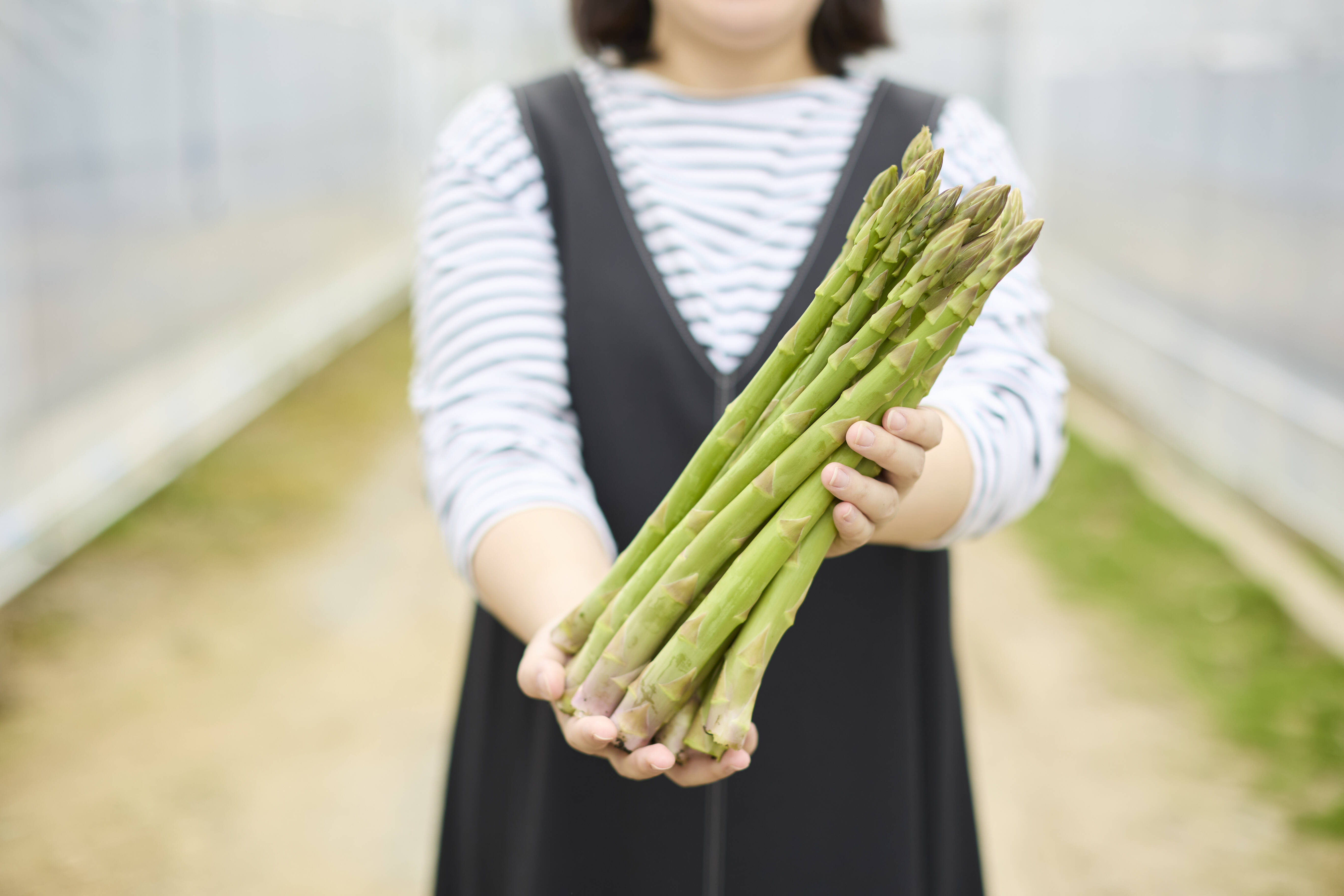 大容量】🧑‍🌾青空レストラン出演🧑‍🌾『夏のMr.アスパラ』さぬきの