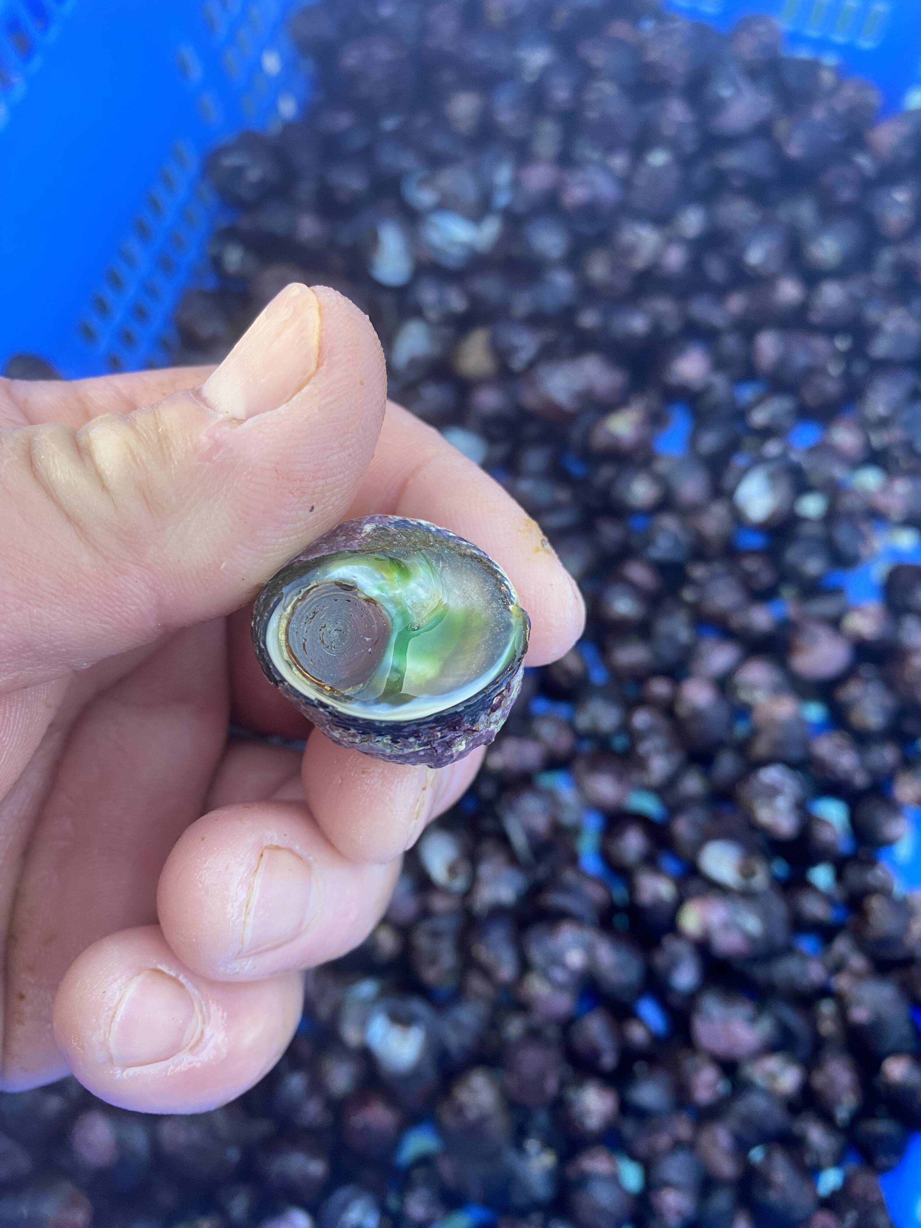 03ec9b160e2e9cd3a3e47210c5cc5c