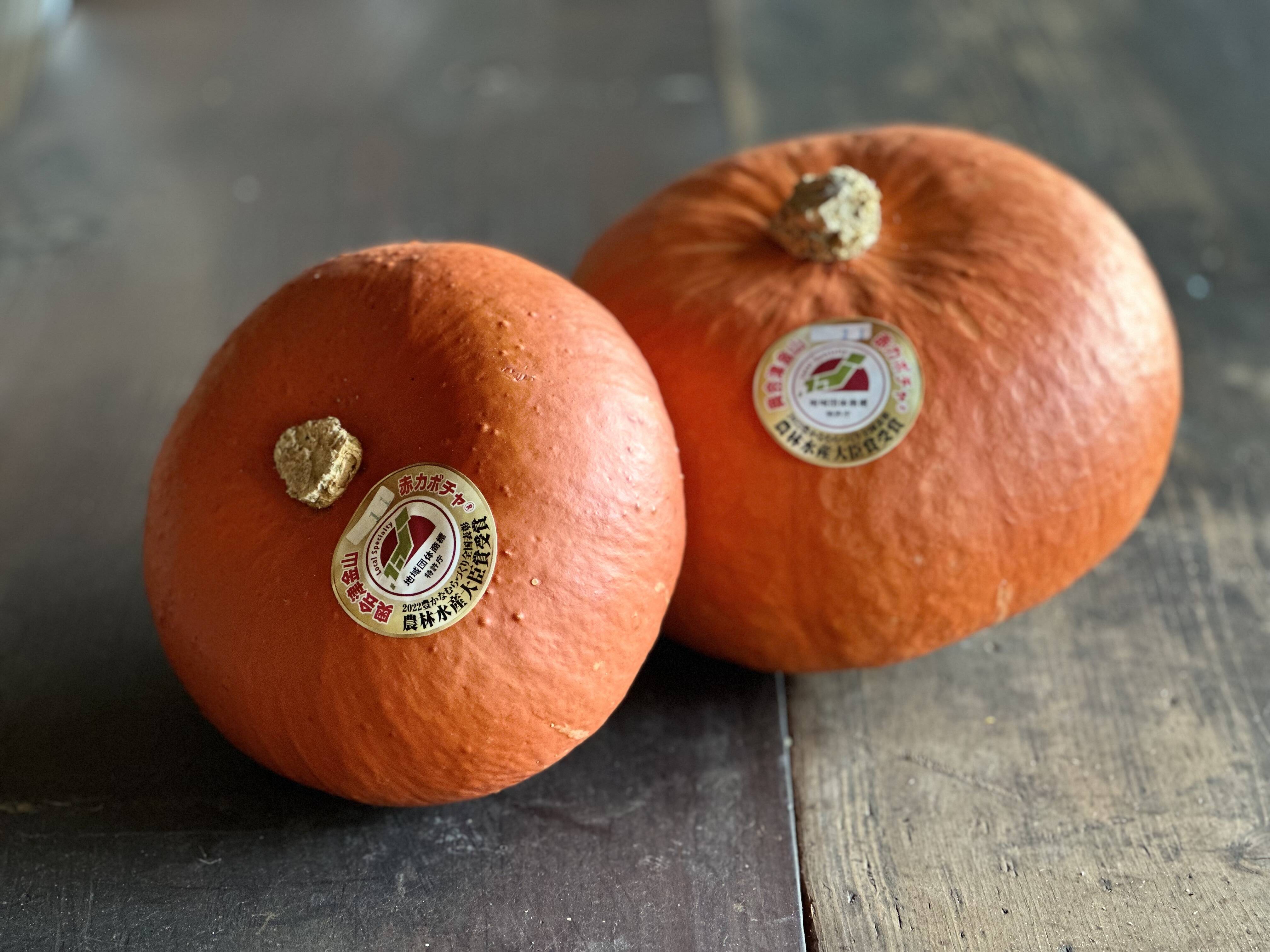 先行予約】幻の奥会津 金山赤カボチャ『合格2玉』4kg：福島県産の奥