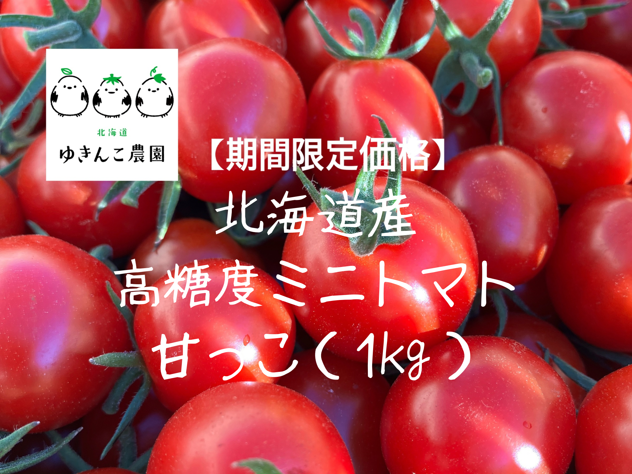 限定価格‼️🌟】超濃厚「甘っこ」甘い、うまい、とまらない。完熟ミニ
