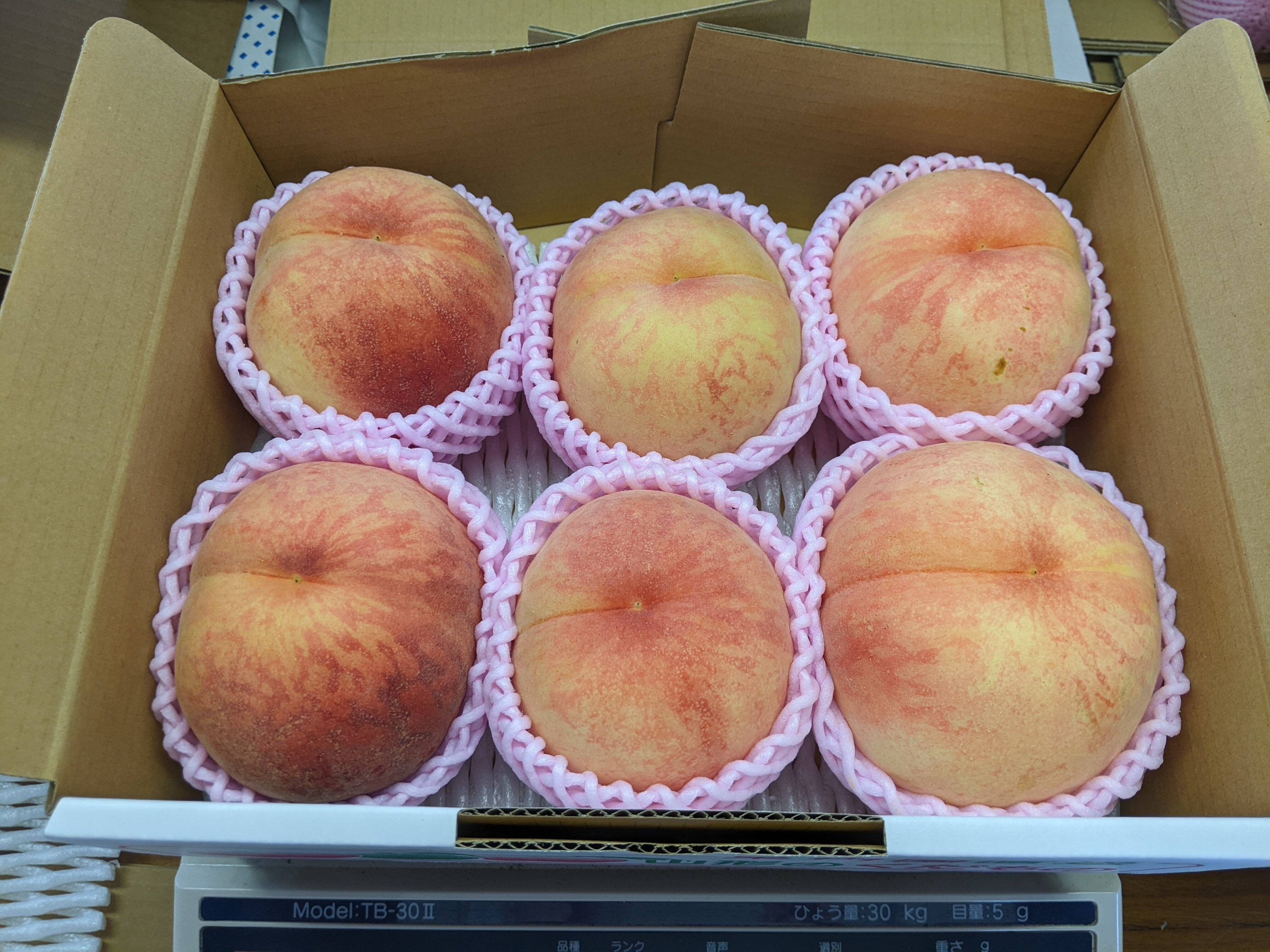 桃あかつき贈答用6個入り：山形県産の果物｜食べチョク｜産地直送(産直