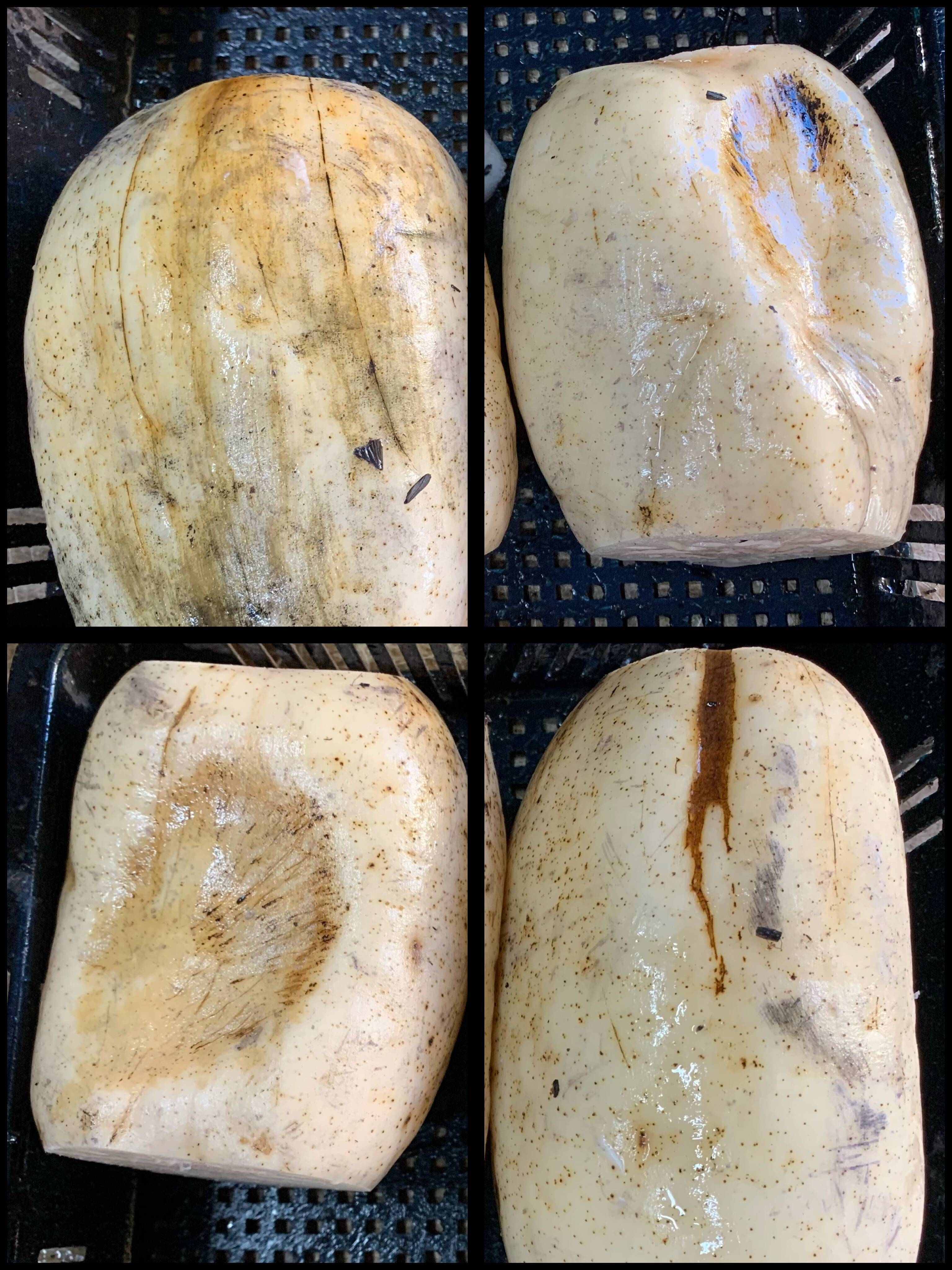 【冷蔵】茨城県土浦市ブランド認定『市川蓮根』!!ミシュランガイド掲載店に納品!!【ご自宅用箱込み1.5kg】:茨城県産のれんこん|食べチョク|産地直送(産直)お取り寄せ通販 - 農家・漁師から旬の食材を直送~イメージ画像1~