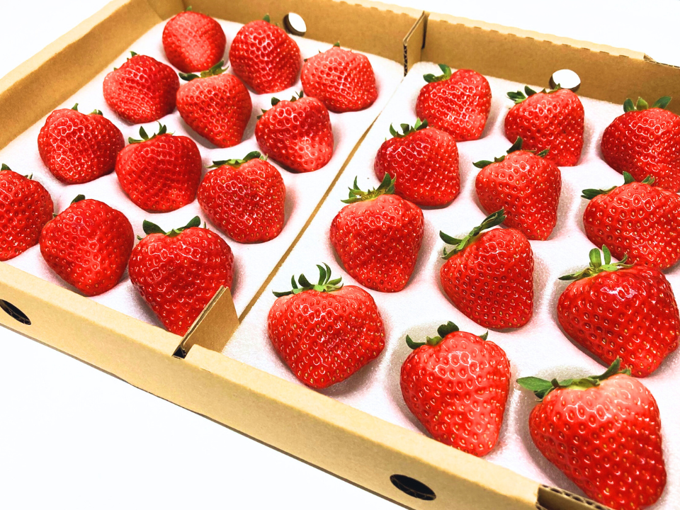 特大 24～30粒 】☆ 軽井沢産 夏秋いちご「サマールージュ（信大