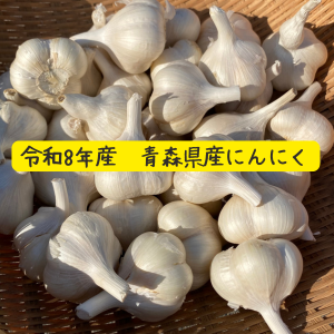 R8年 青森県産にんにく 福地ホワイト六片 家庭用2.7kg：青森県産の