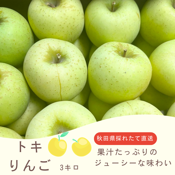 トキりんご 3kg 採れたて直送 リンゴ 美味しい ギフト 家庭用 美味しい
