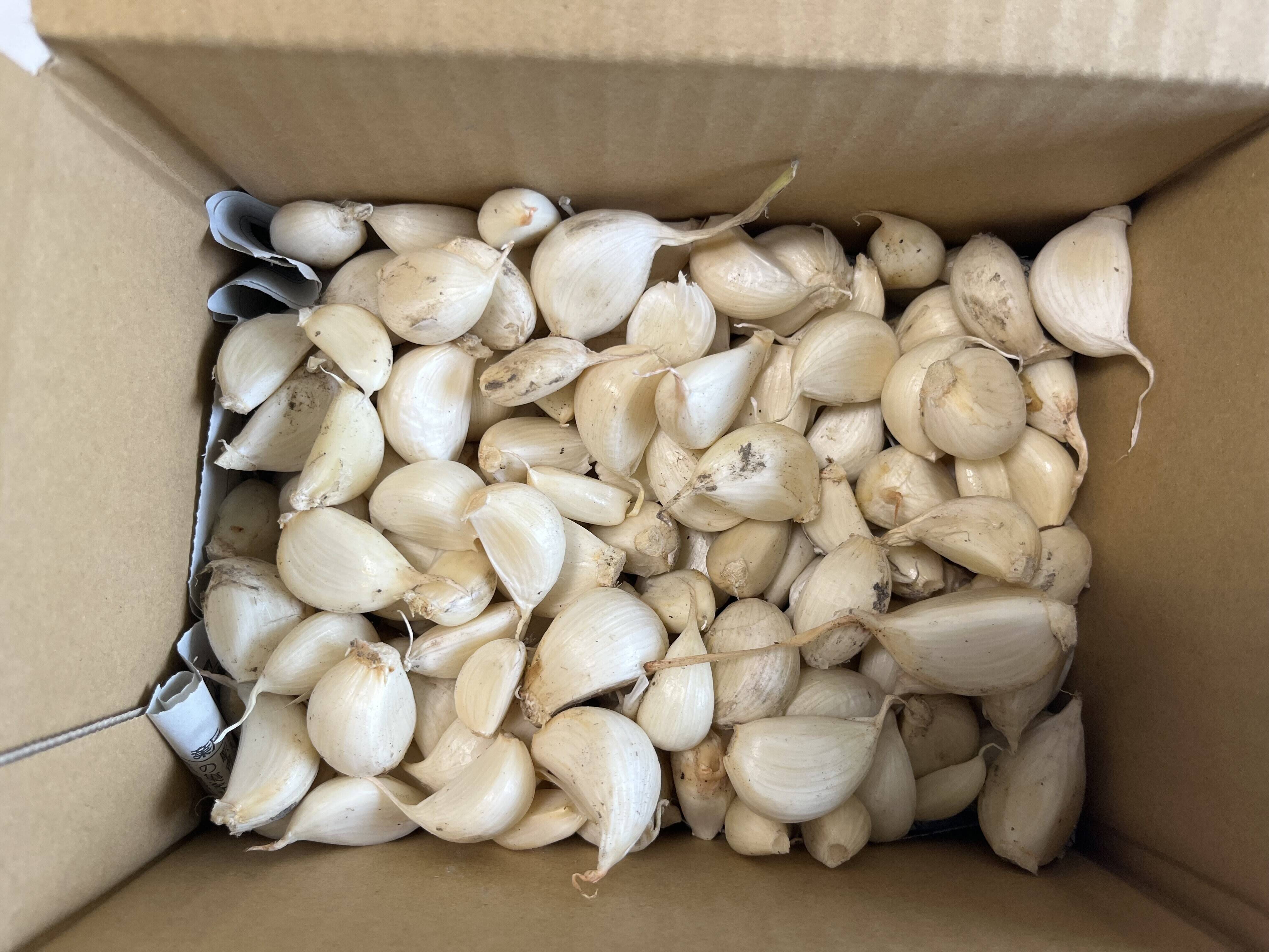 最安値❣】【にんにく】自然にできた×ヴィーガンピュア バラ1kg