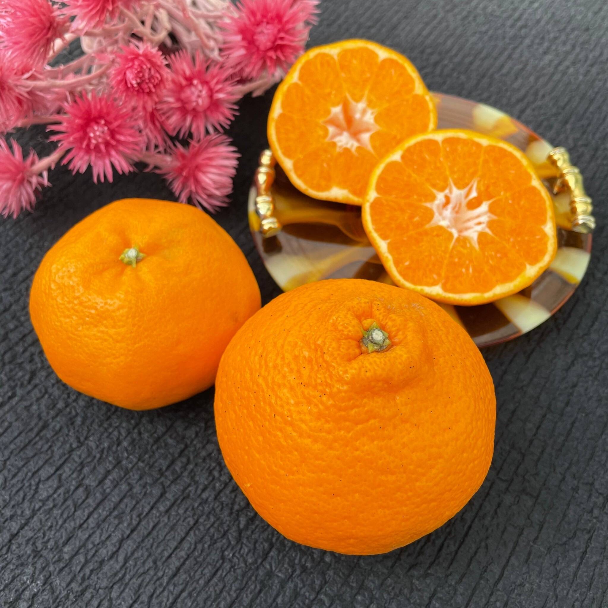 ぷちぷちレディー、はるみちゃん🍊✨2kg箱入り SS-Mサイズ みかん 2月