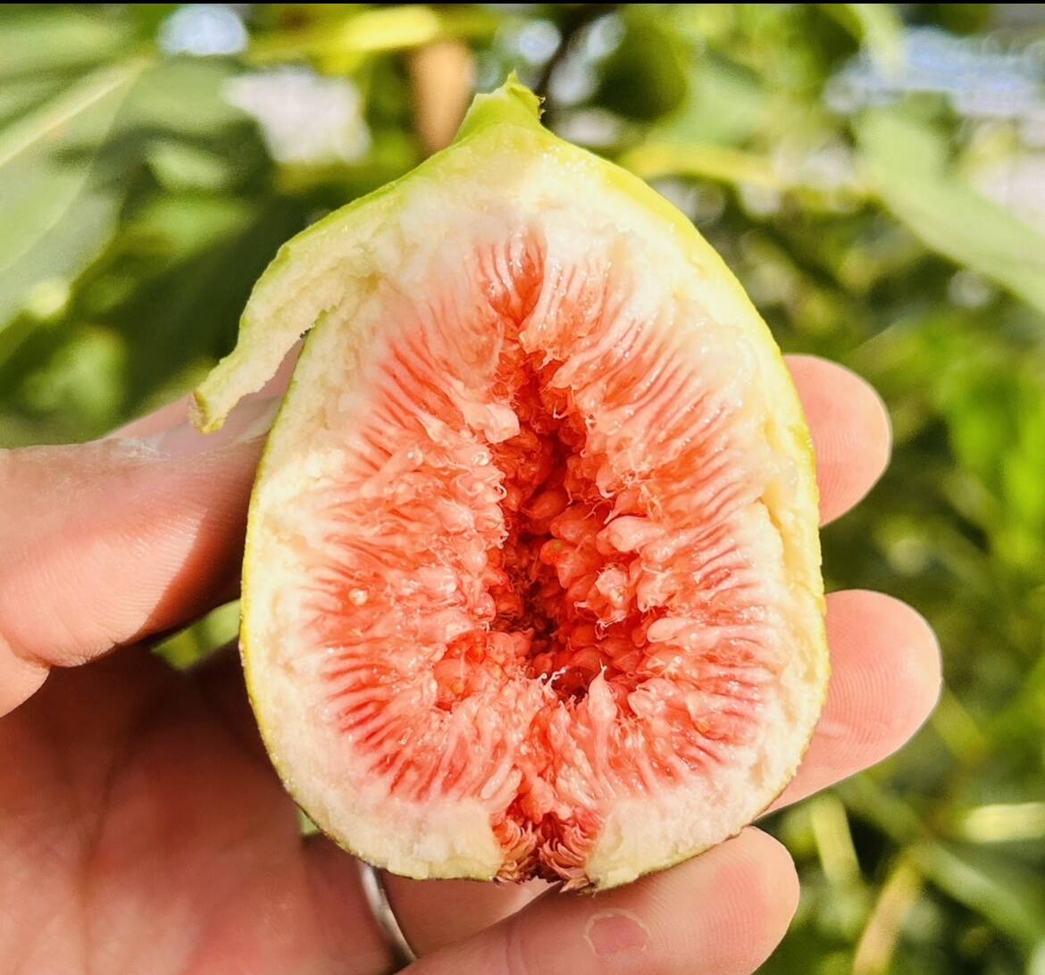 04eb39f70fdbd8fd946afd7c970d56