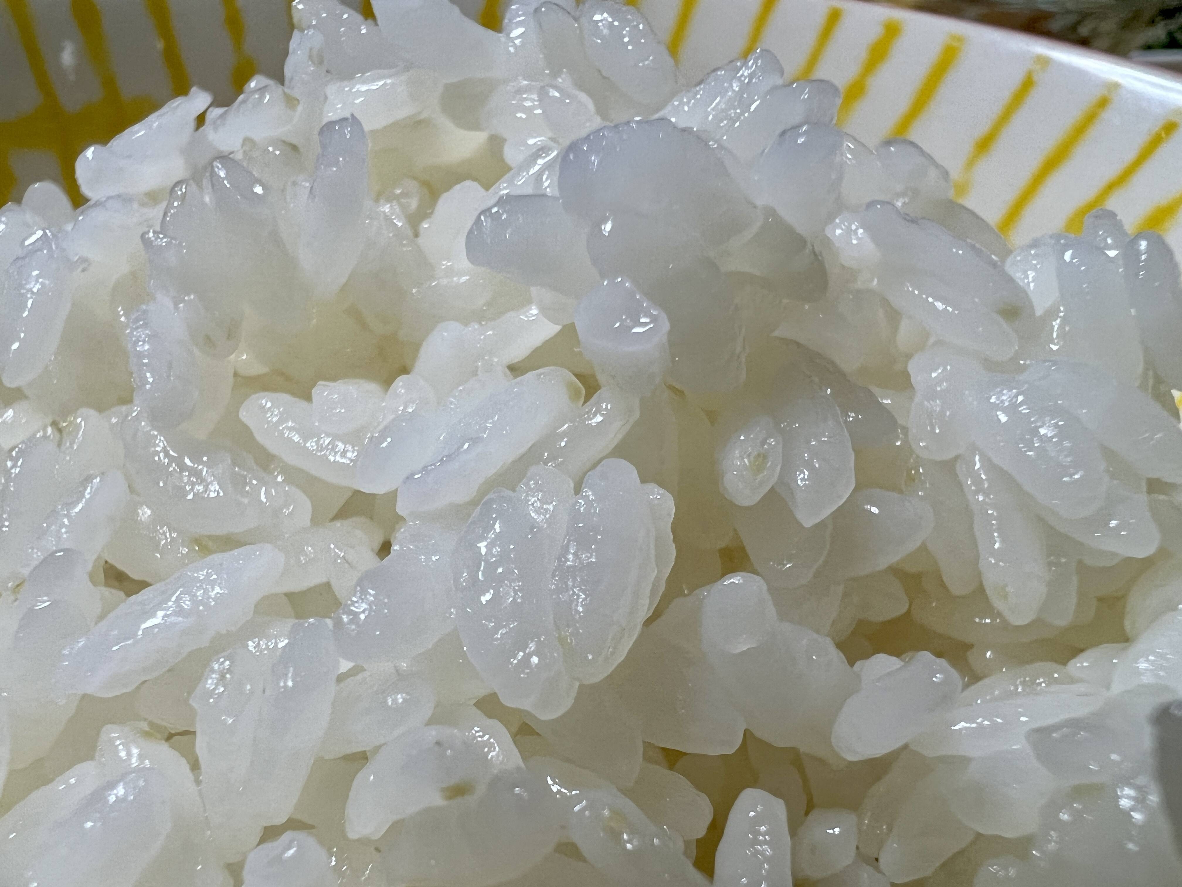 新米にこまる 10kg -令和6年産 お米 熊本県産 特別栽培米 精白米