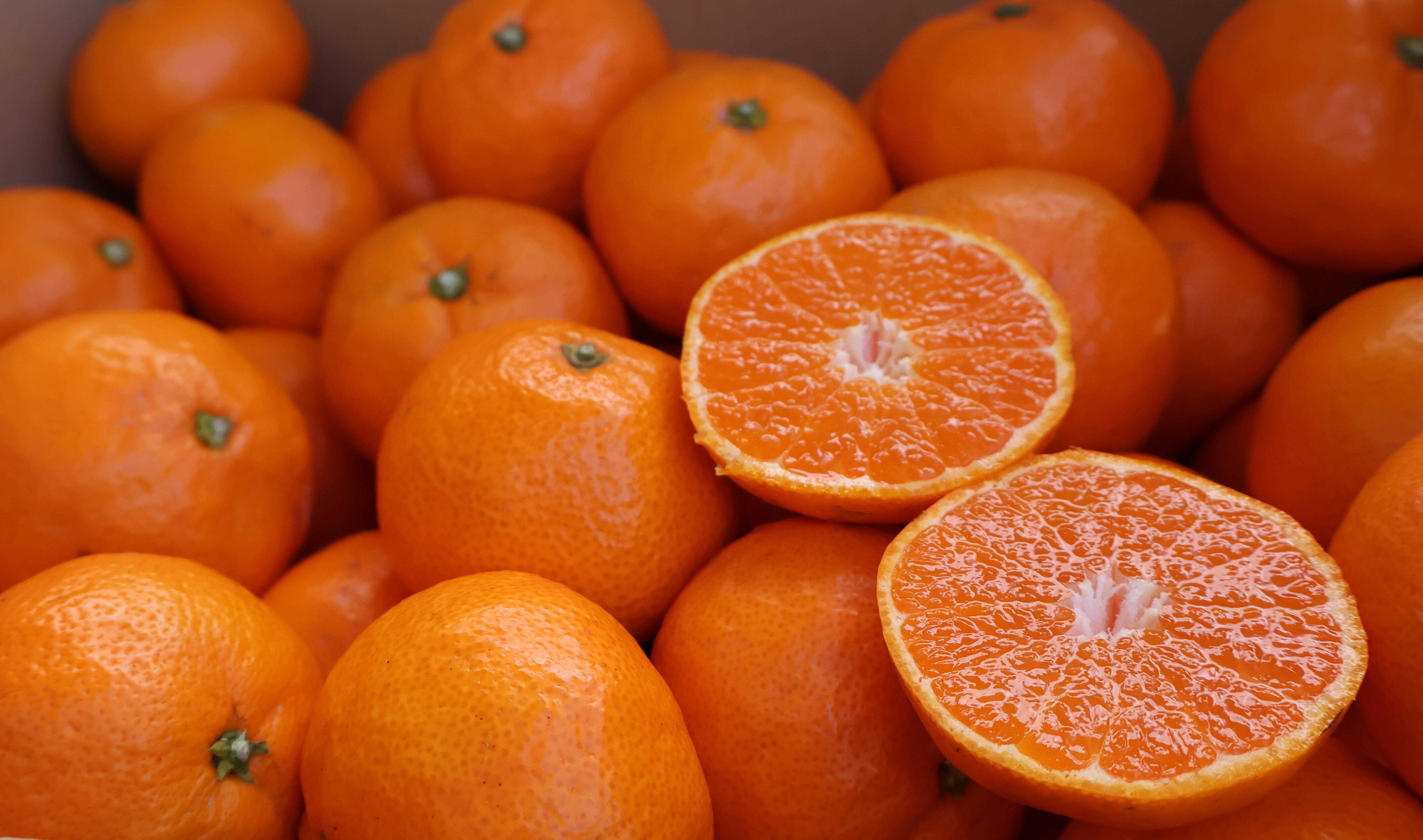 冬ギフト】農家直送！有田みかん10kg≪2Lサイズ（大玉） 秀品≫【平武