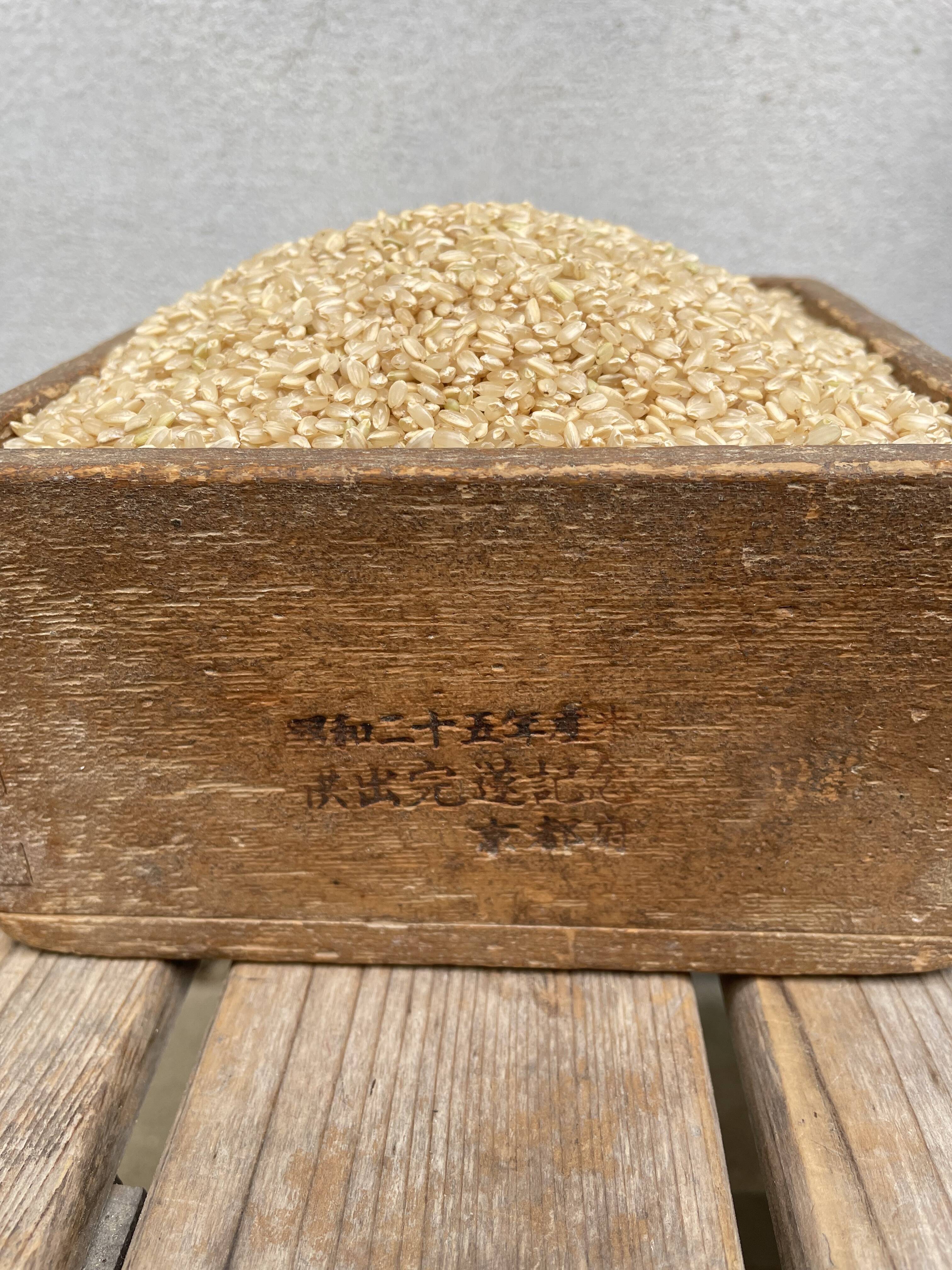 令和7年産山城産米 ヒノヒカリ 玄米 10kg：京都府産のお米｜食べ