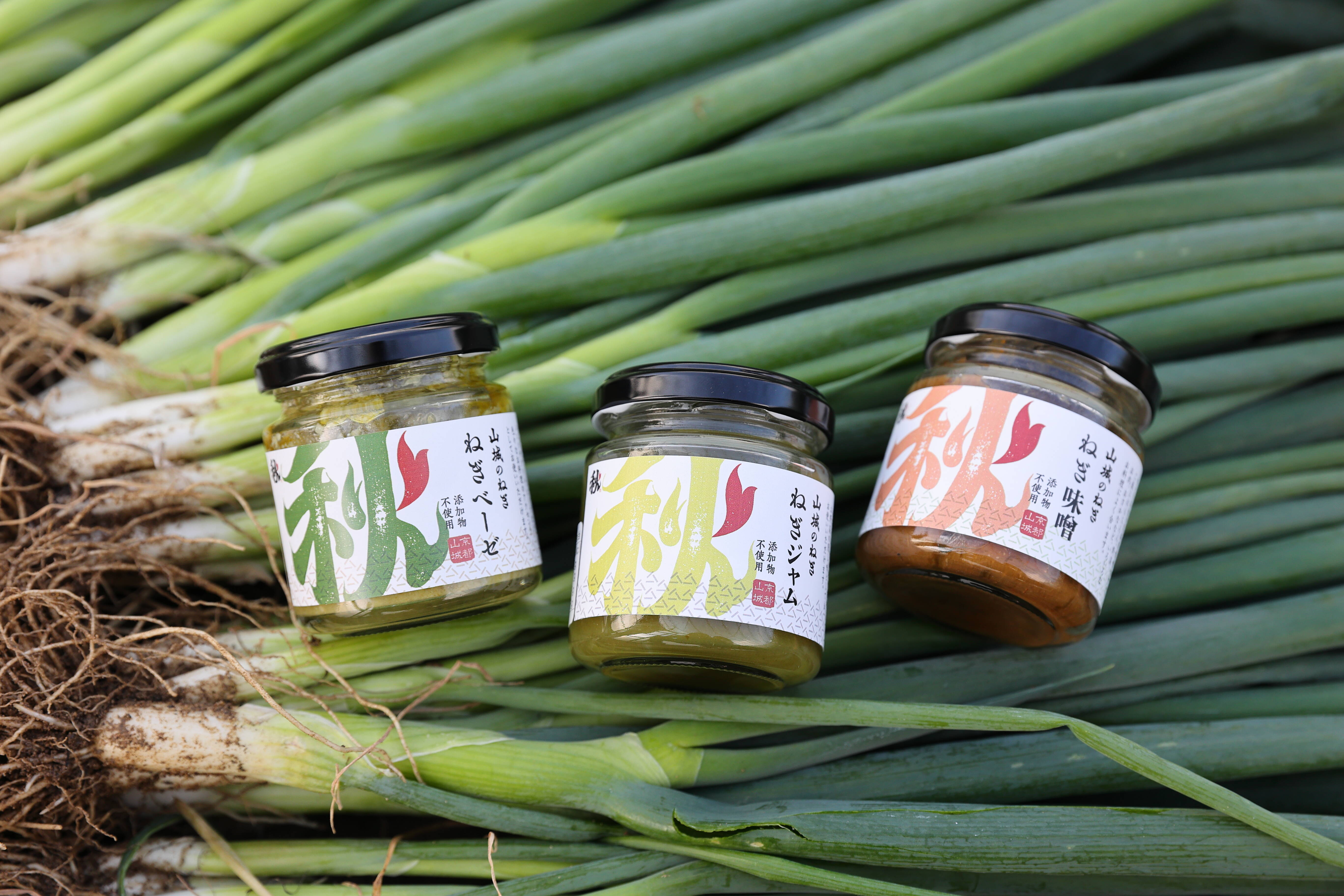 フシギダネar４枚　フシギソウar４枚　マーシャドーar４枚 計１２枚セット フシギダネar4枚 フシギソウar4枚 マーシャドーar4枚 計12枚