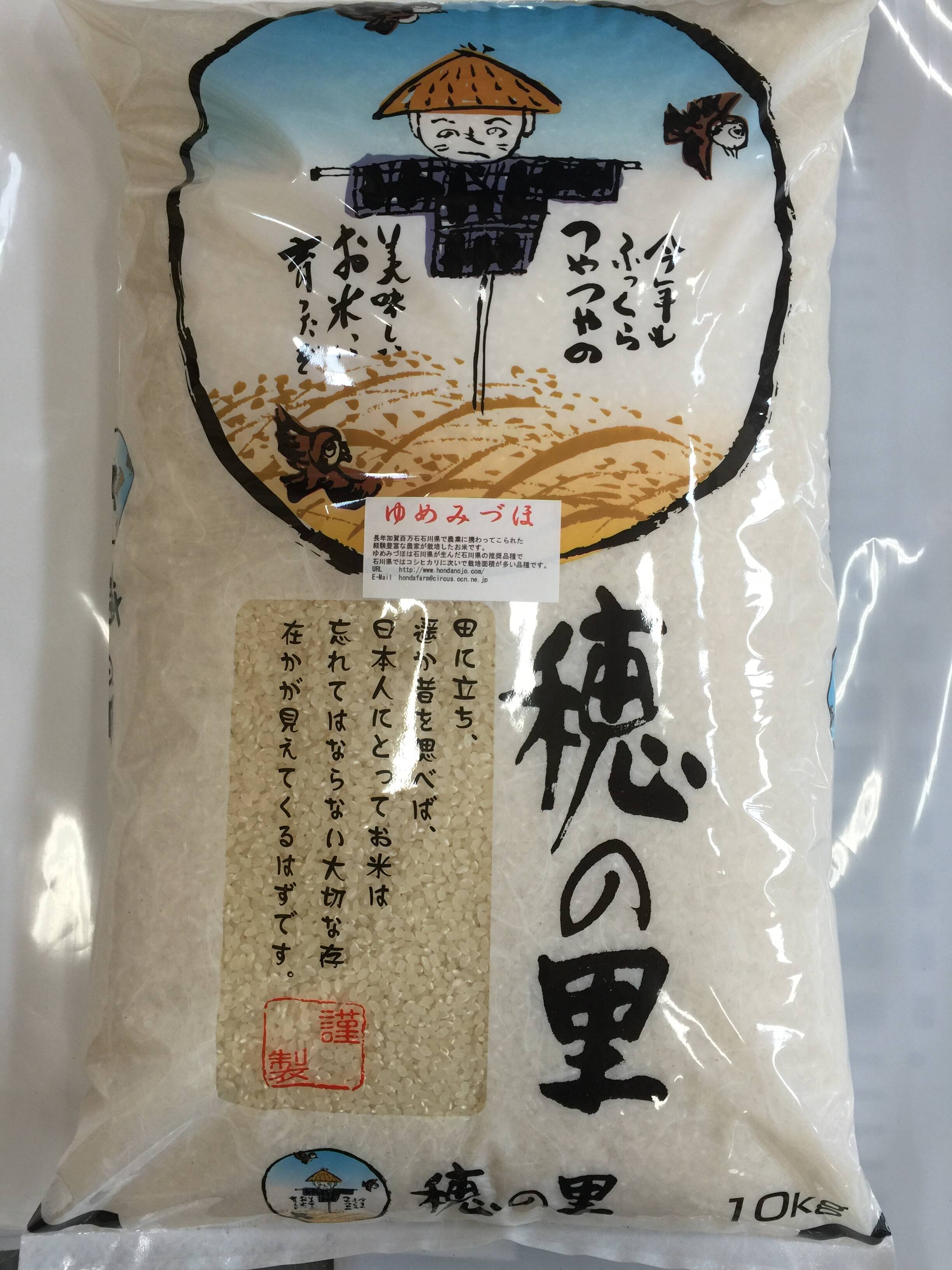 石川県産 ゆめみずほ 10kg 精米 新米 令和6年 白米