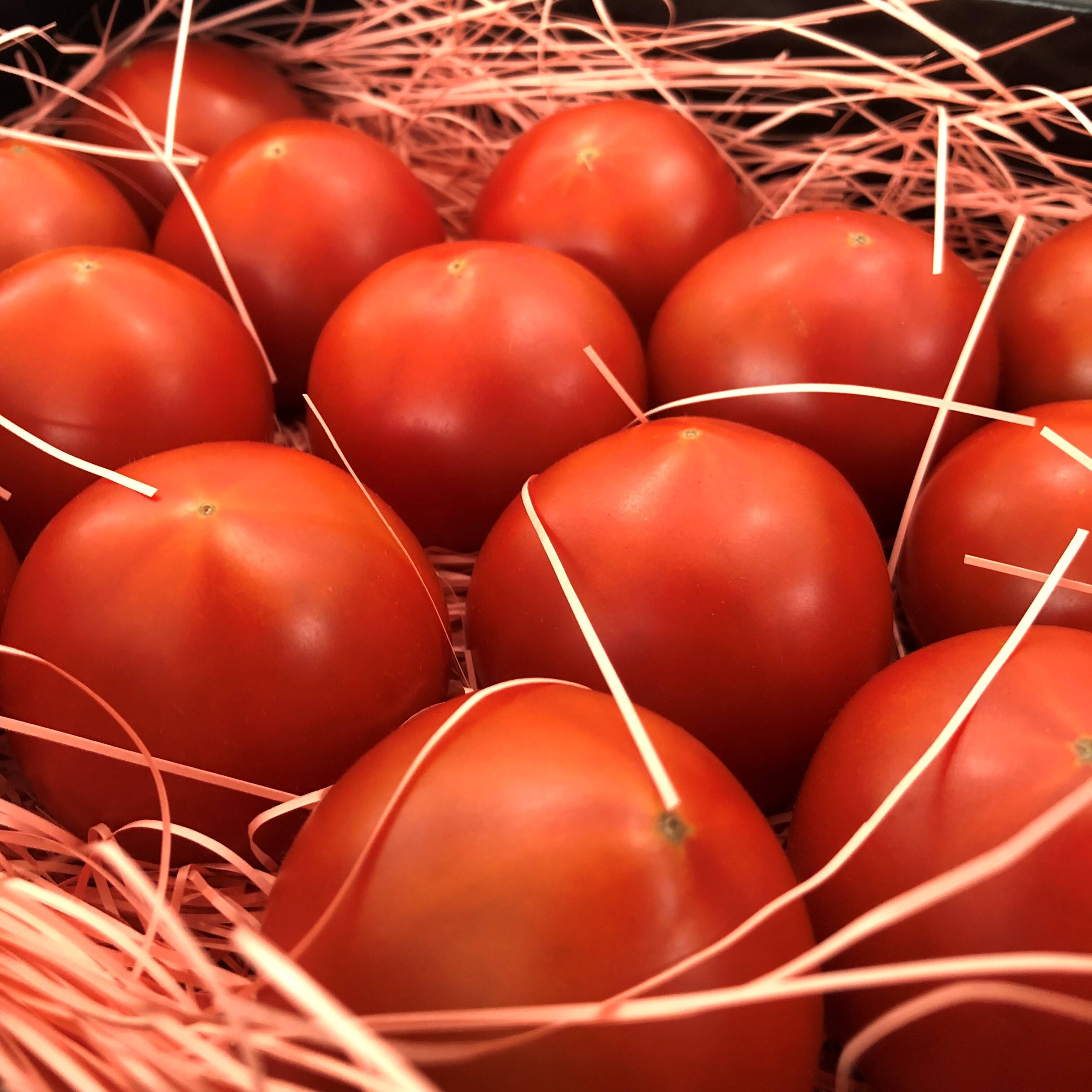 春だけの最上級トマト～ ぜいたくトマト《極み》：兵庫県産のぜいたく