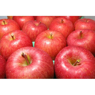 0563da0821993a01f33515824d9408