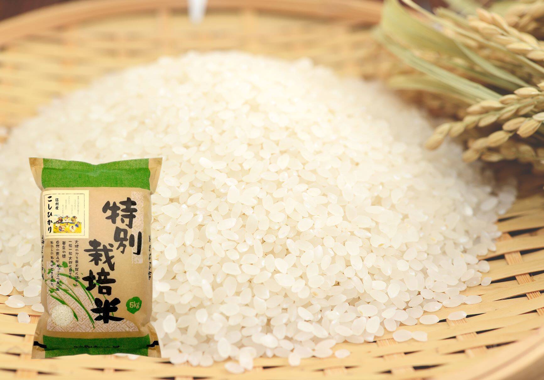 令和５年 山口県産コシヒカリ ２０キロ 精米済み - 米・雑穀・粉類