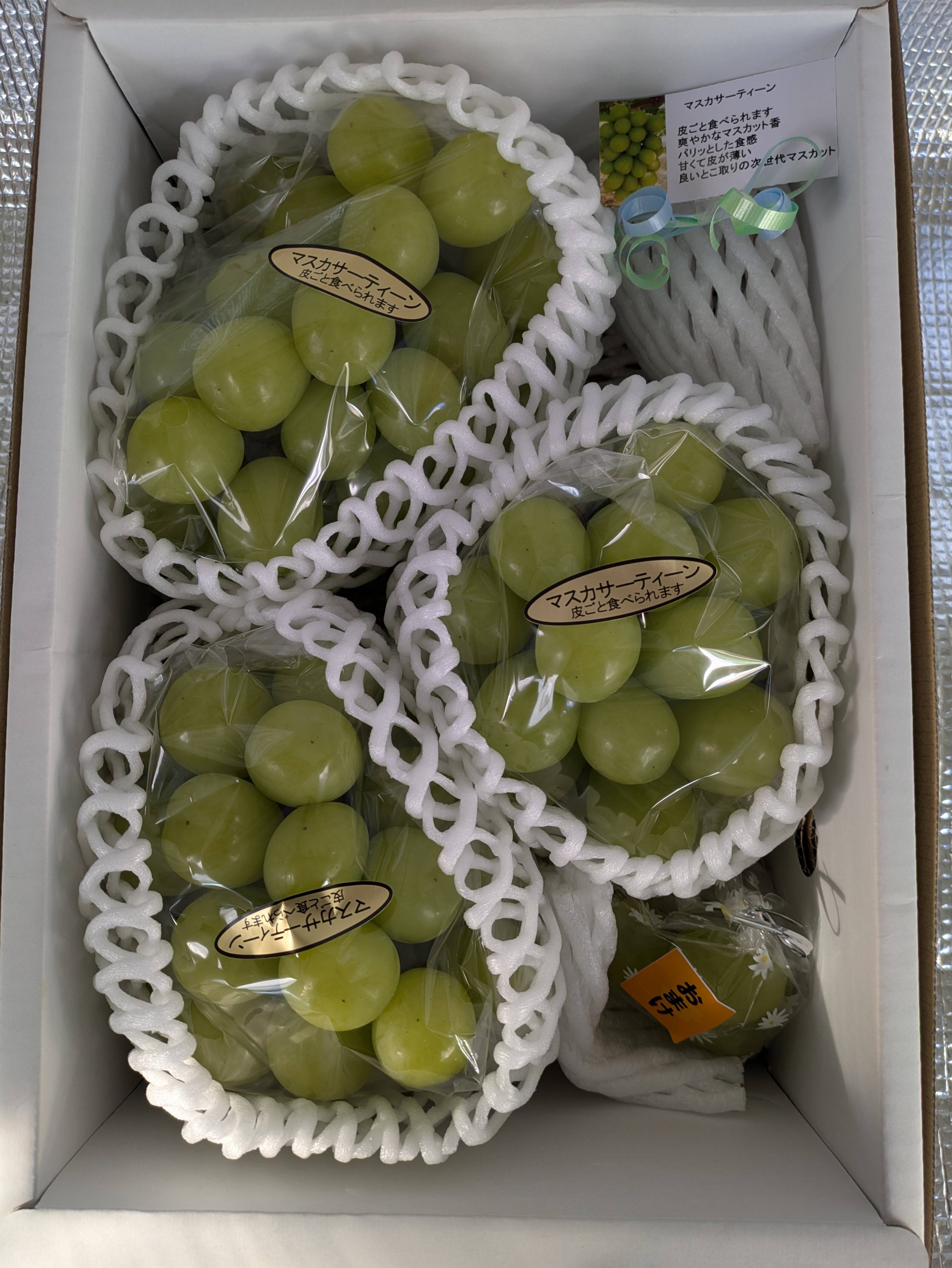 マスカサーティーン 3房1.5キロ：香川県産のマスカサーティーン｜食べ