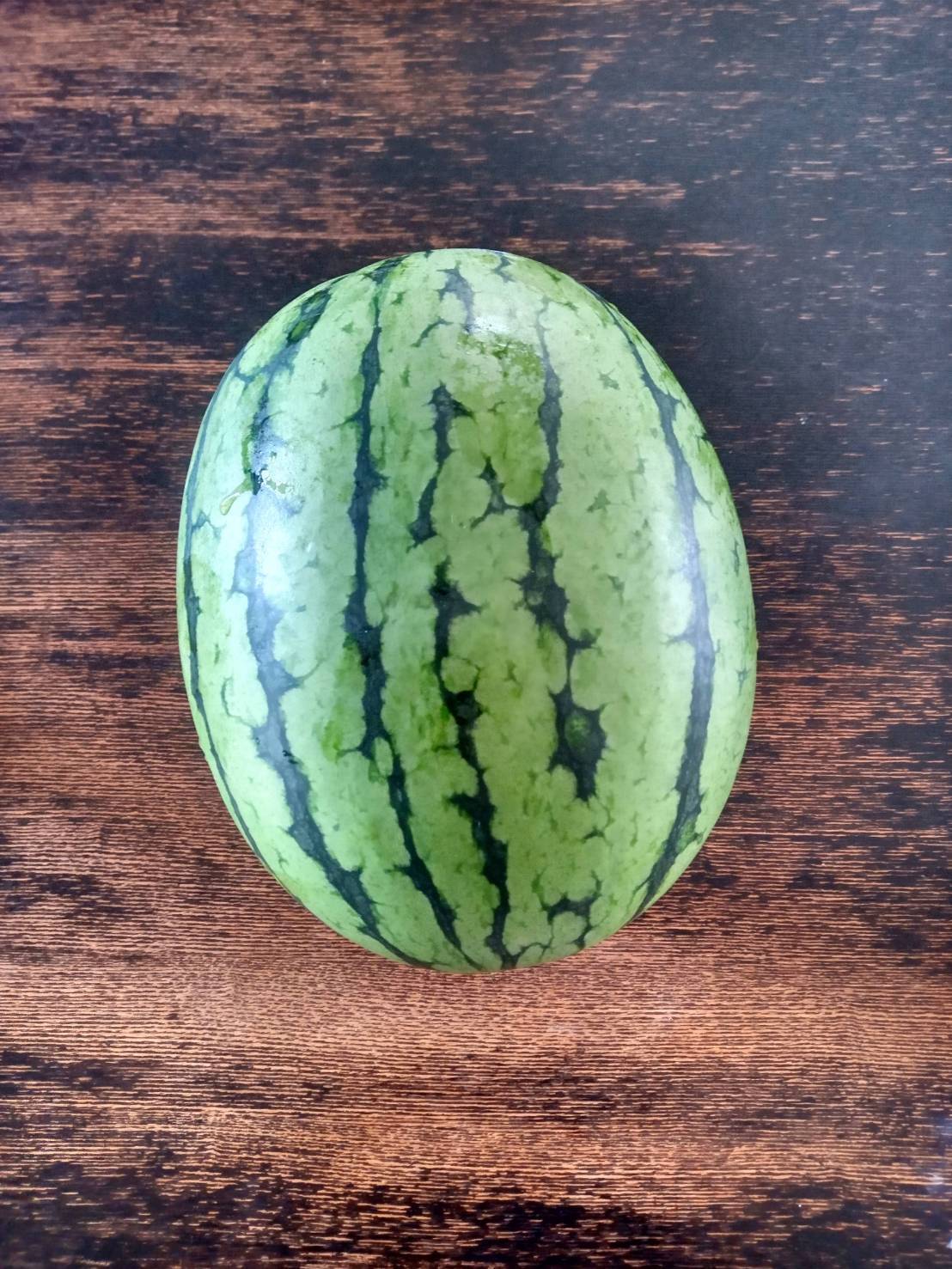 農薬 化学肥料不使用 即日発送可 小玉スイカ マダーボール 3玉 三重県産 食べチョク 農家 漁師の産直ネット通販 旬の食材を生産者直送